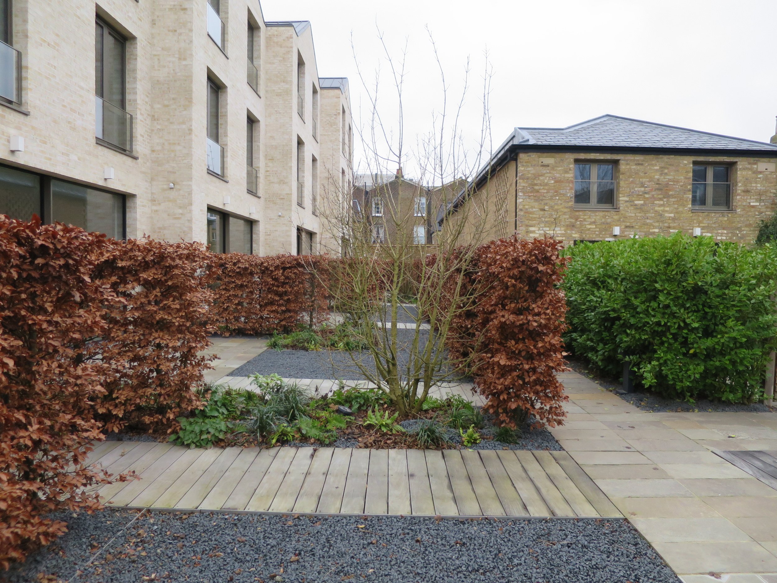 Paradise Gardens, Ravenscourt Road Guillaume Baltz Landscape Design (2).JPG