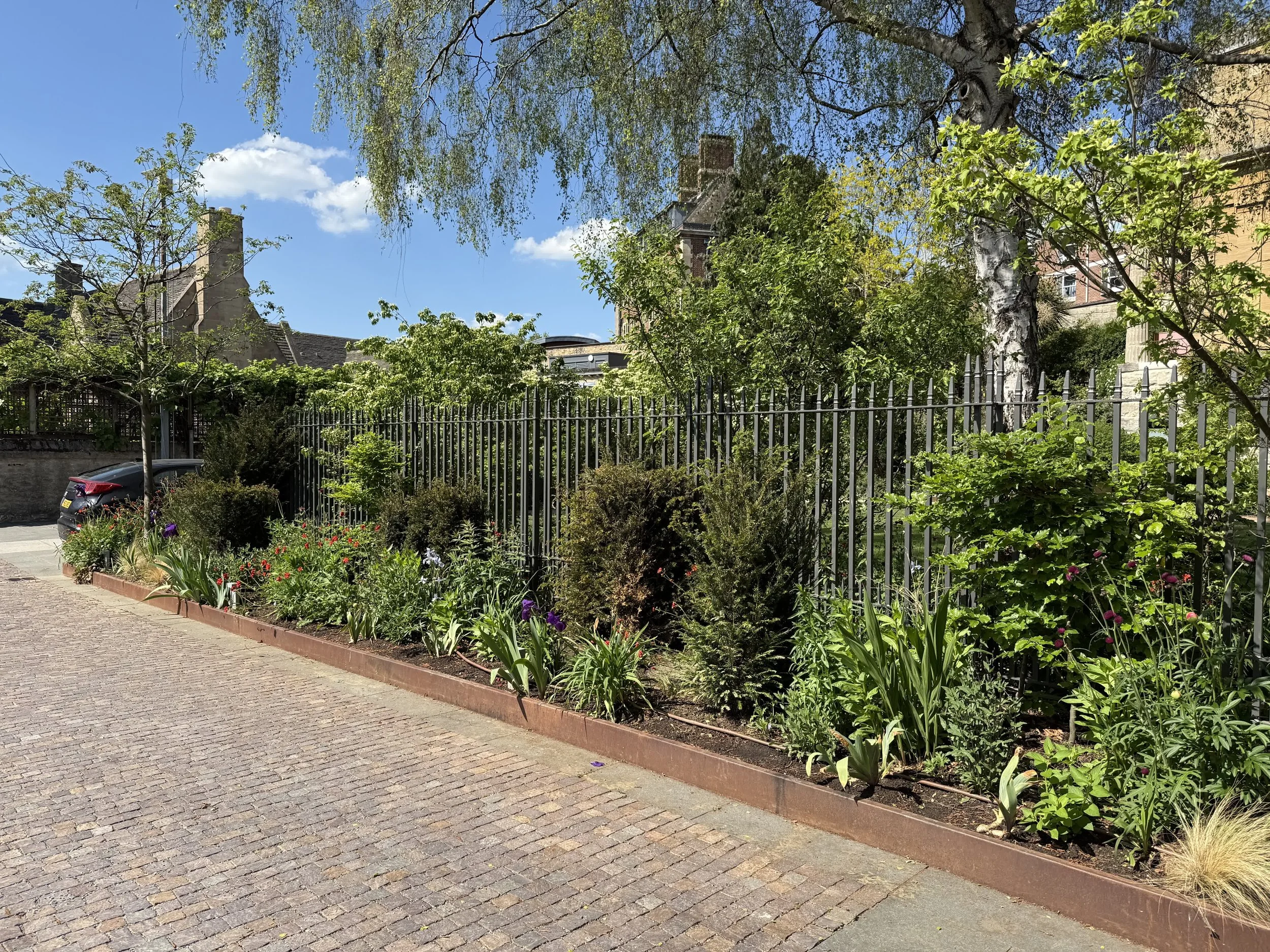 St Peter's College Oxford Guillaume Baltz Landscape Design (16).jpg
