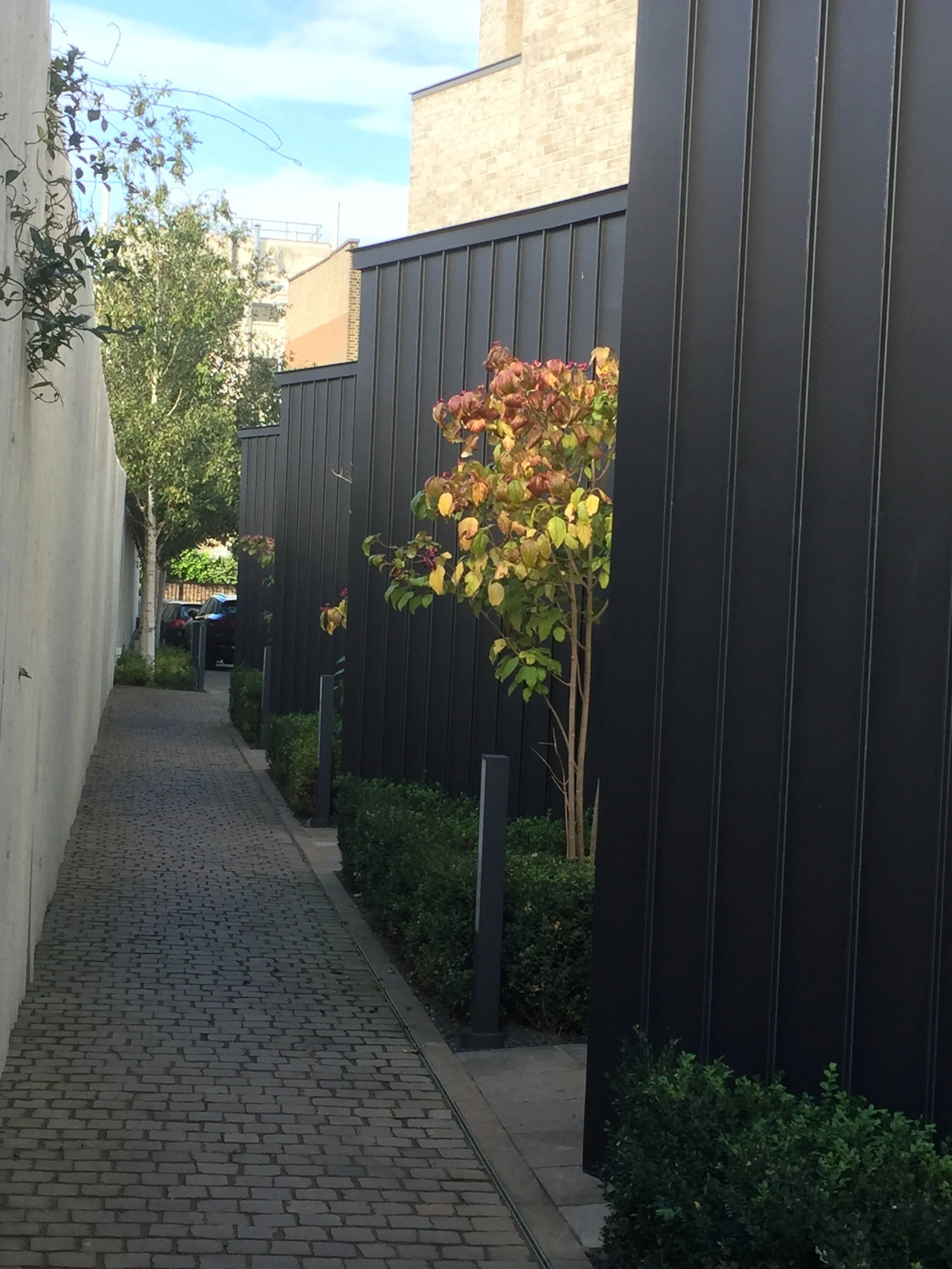 Paradise Gardens, Ravenscourt Road Guillaume Baltz Landscape Design (14).jpg