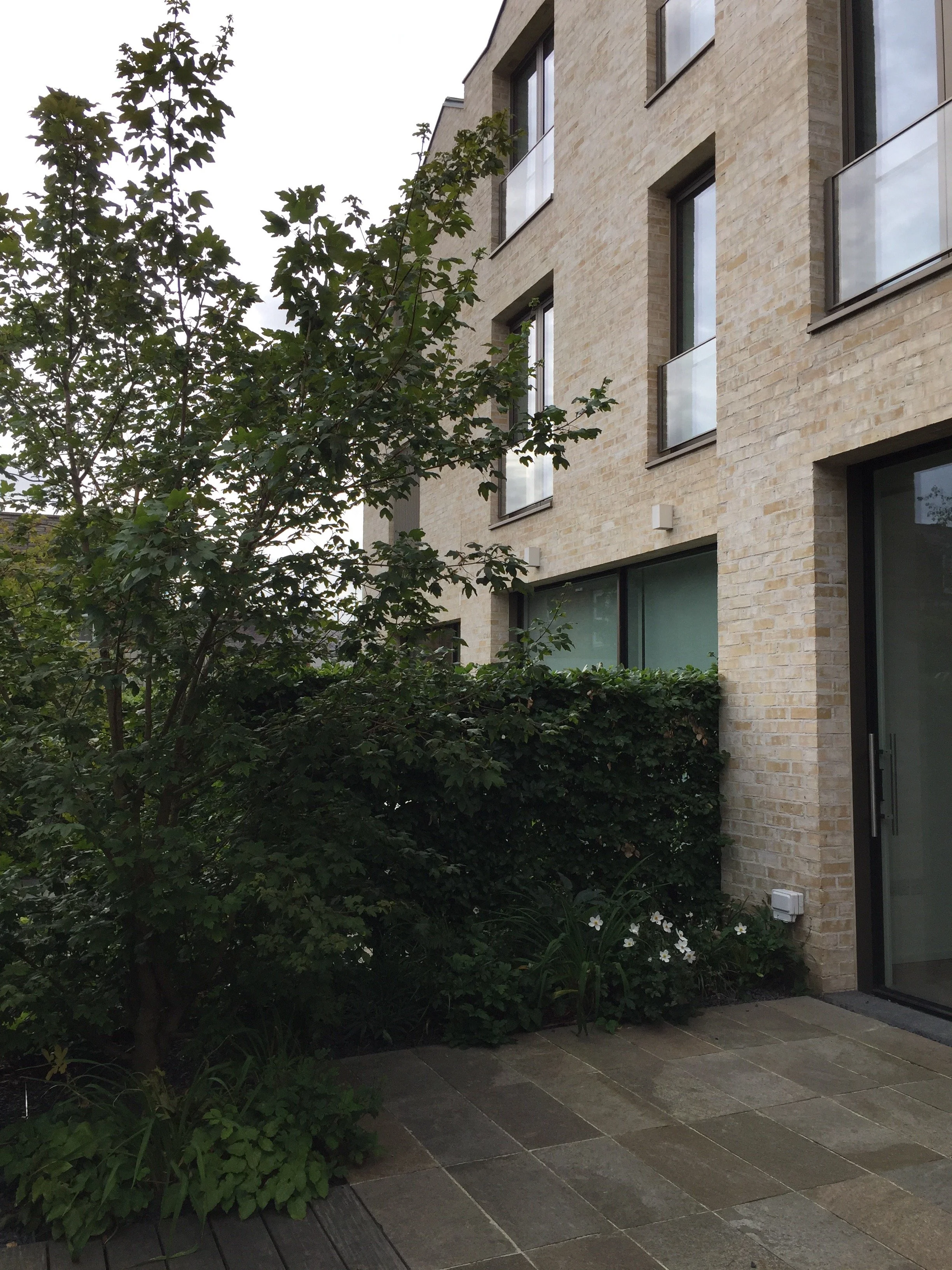 Paradise Gardens, Ravenscourt Road Guillaume Baltz Landscape Design (8).jpg