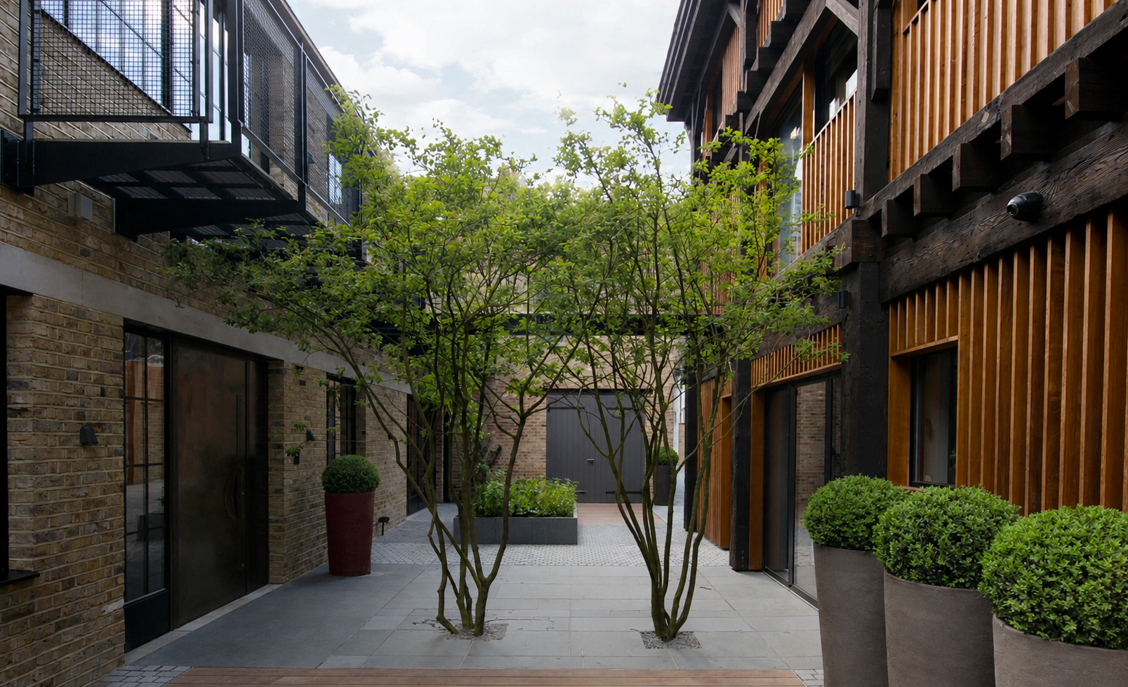 Chalcot Yard Primrose Hill Guillaume Baltz Landscape Design (1).png