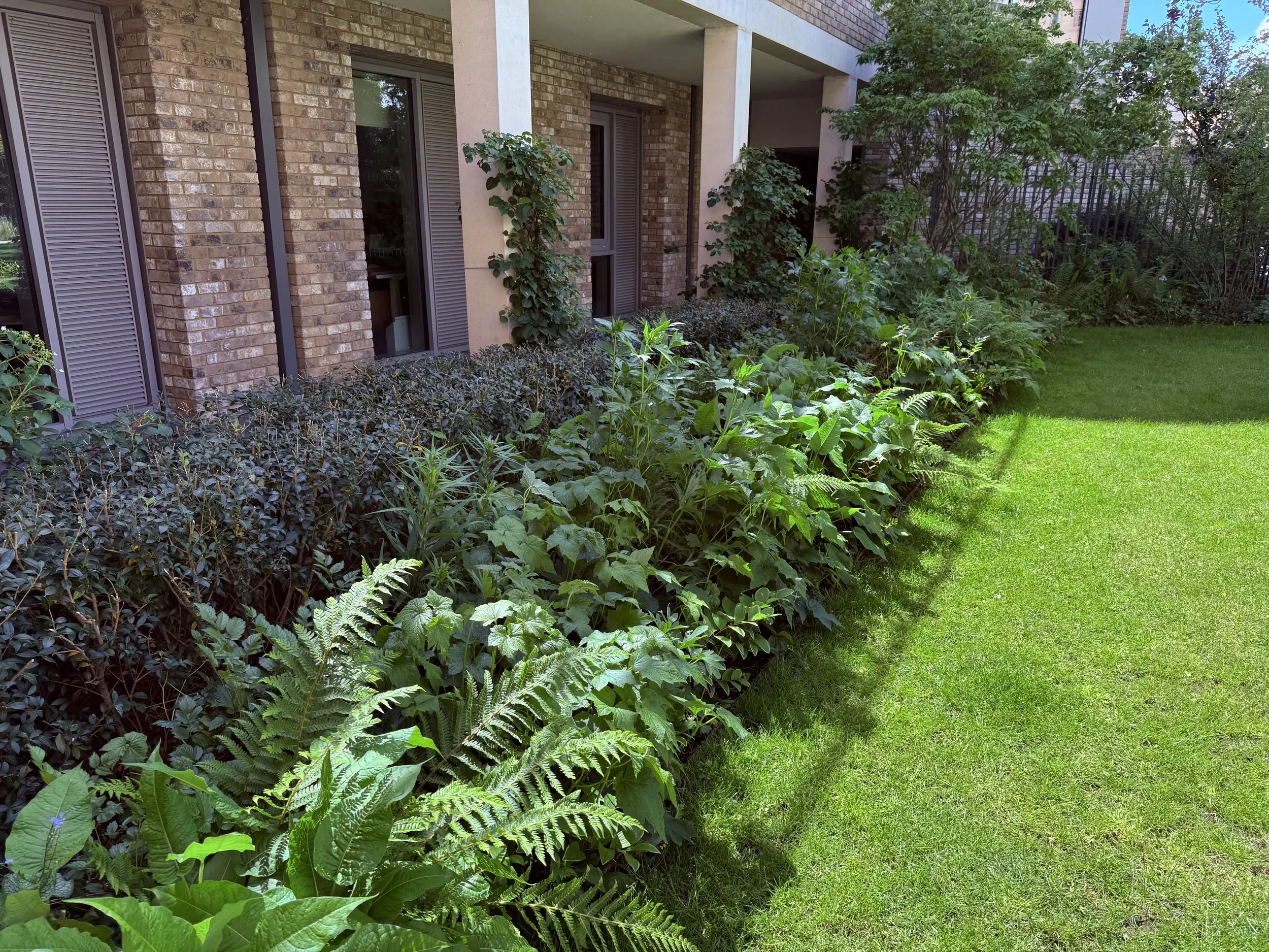 St Peter's College Oxford Guillaume Baltz Landscape Design (19).jpg