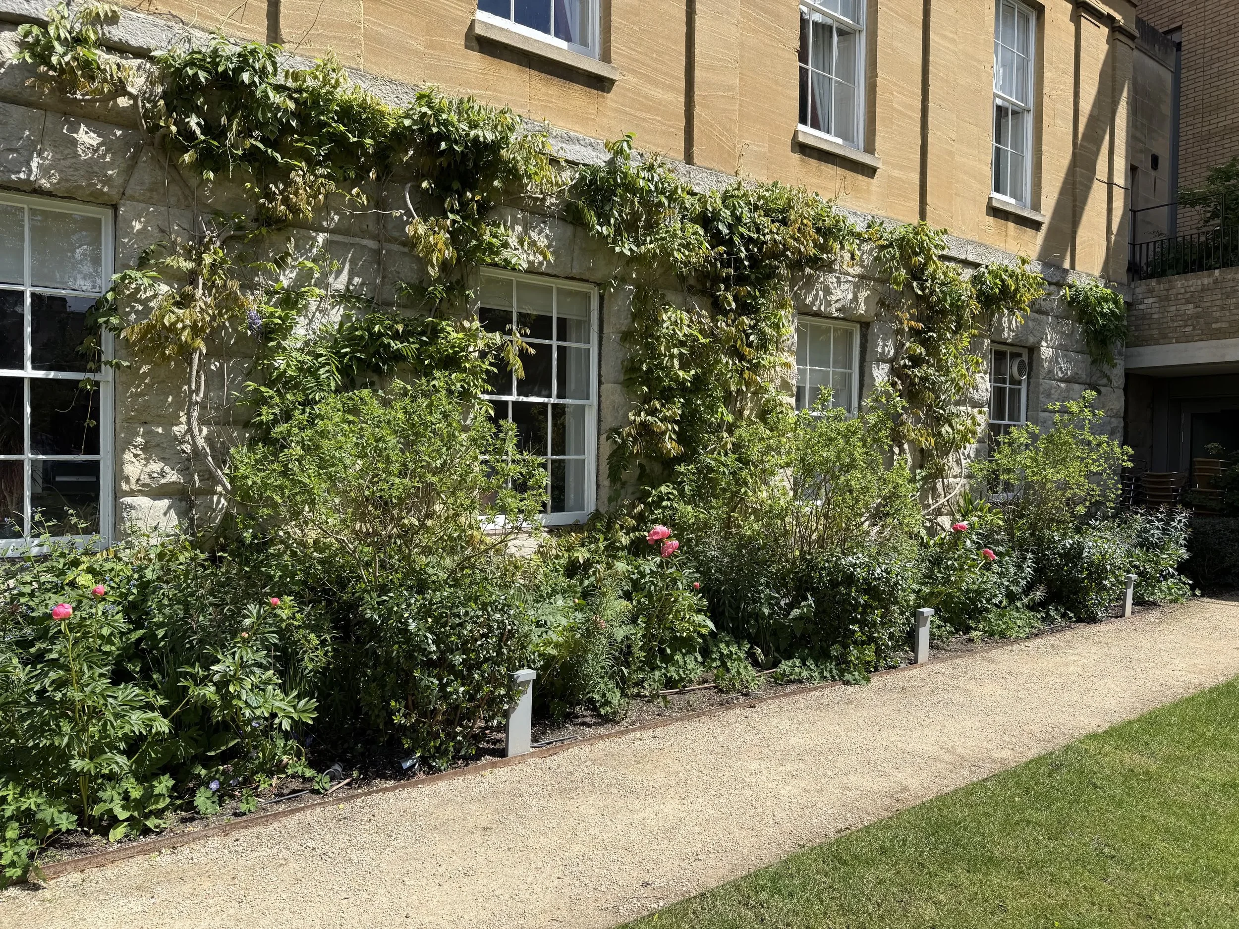 St Peter's College Oxford Guillaume Baltz Landscape Design (17).jpg