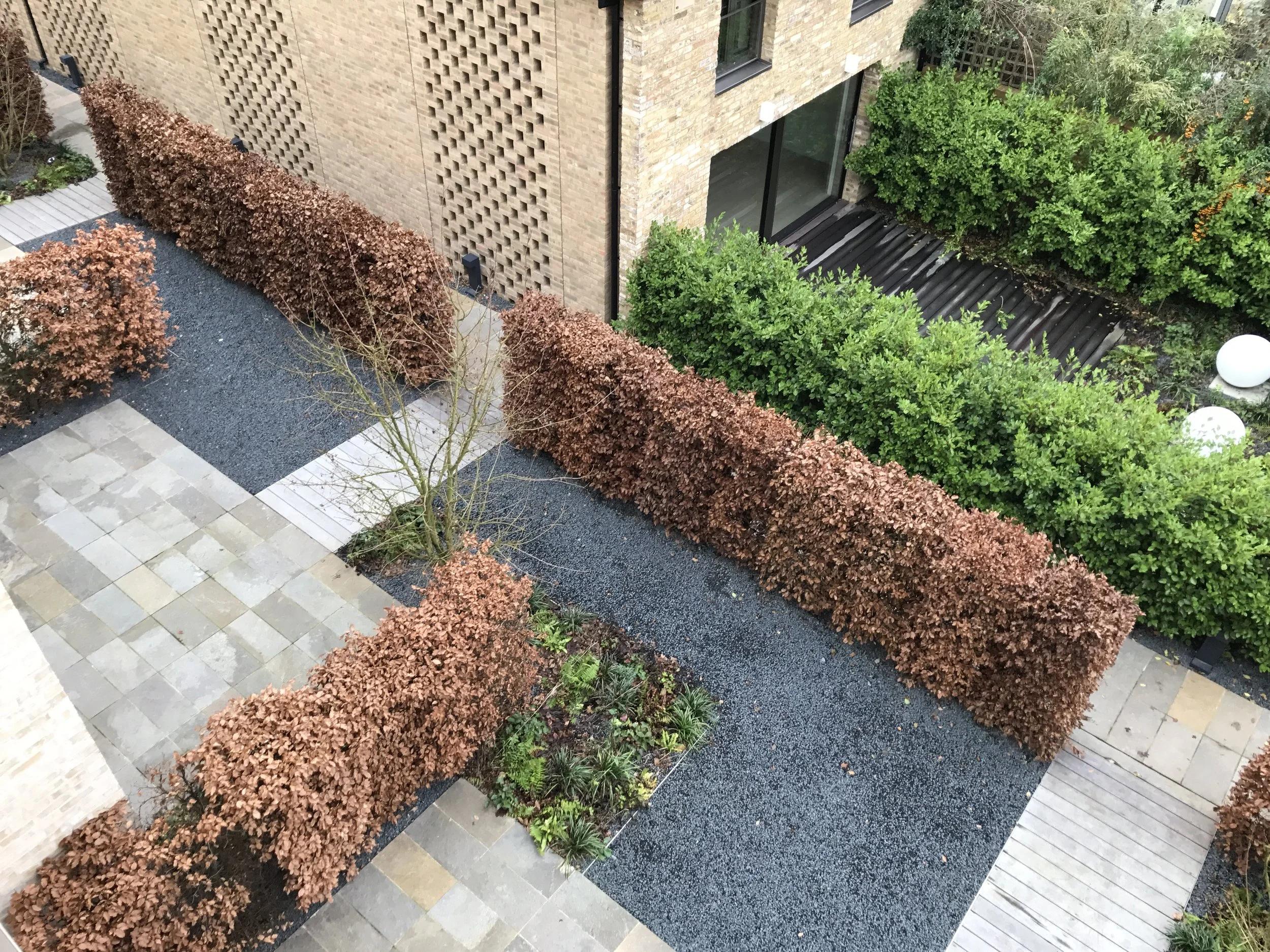 Paradise Gardens, Ravenscourt Road Guillaume Baltz Landscape Design (18).JPG