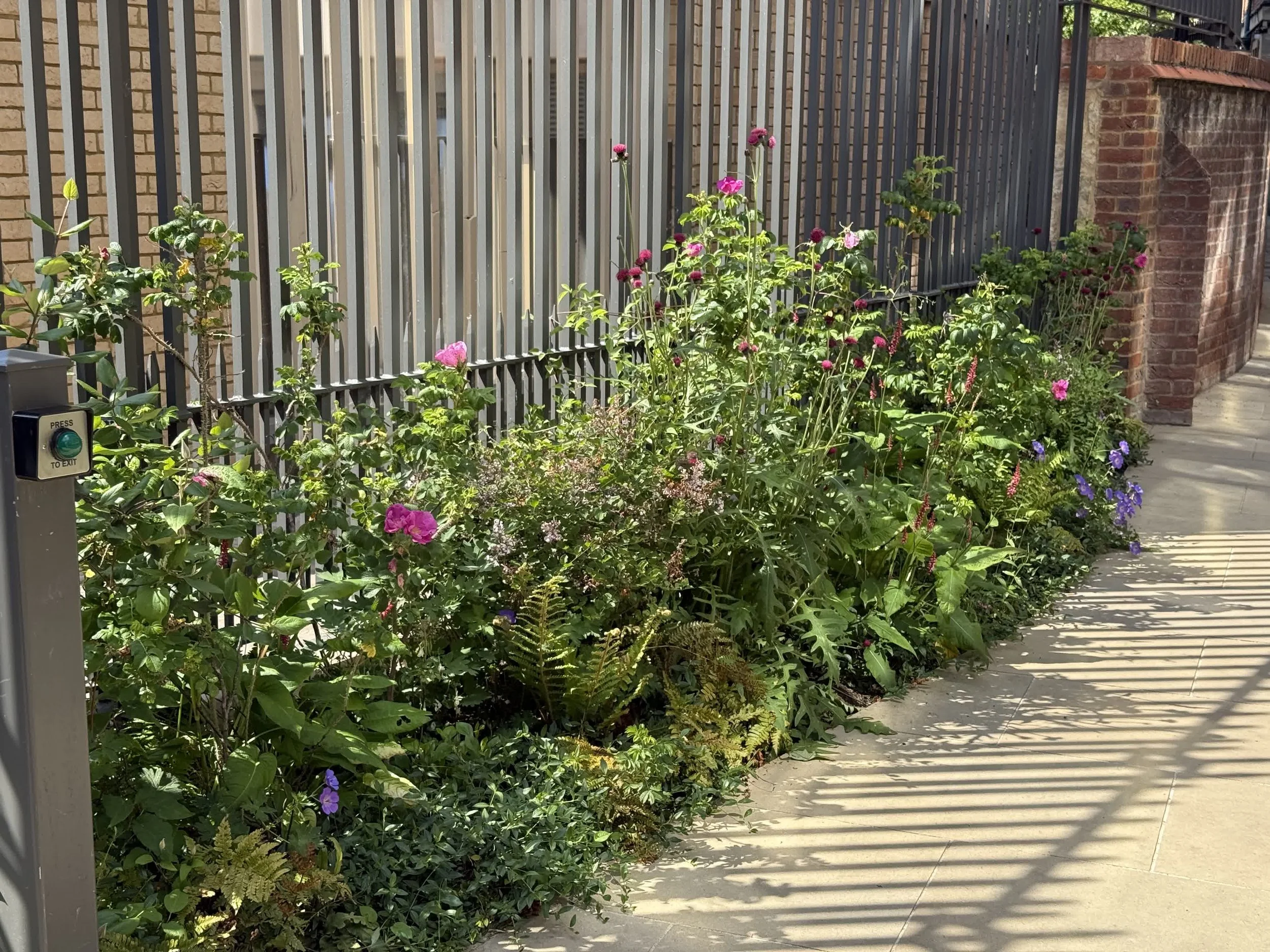 St Peter's College Oxford Guillaume Baltz Landscape Design (1).jpg