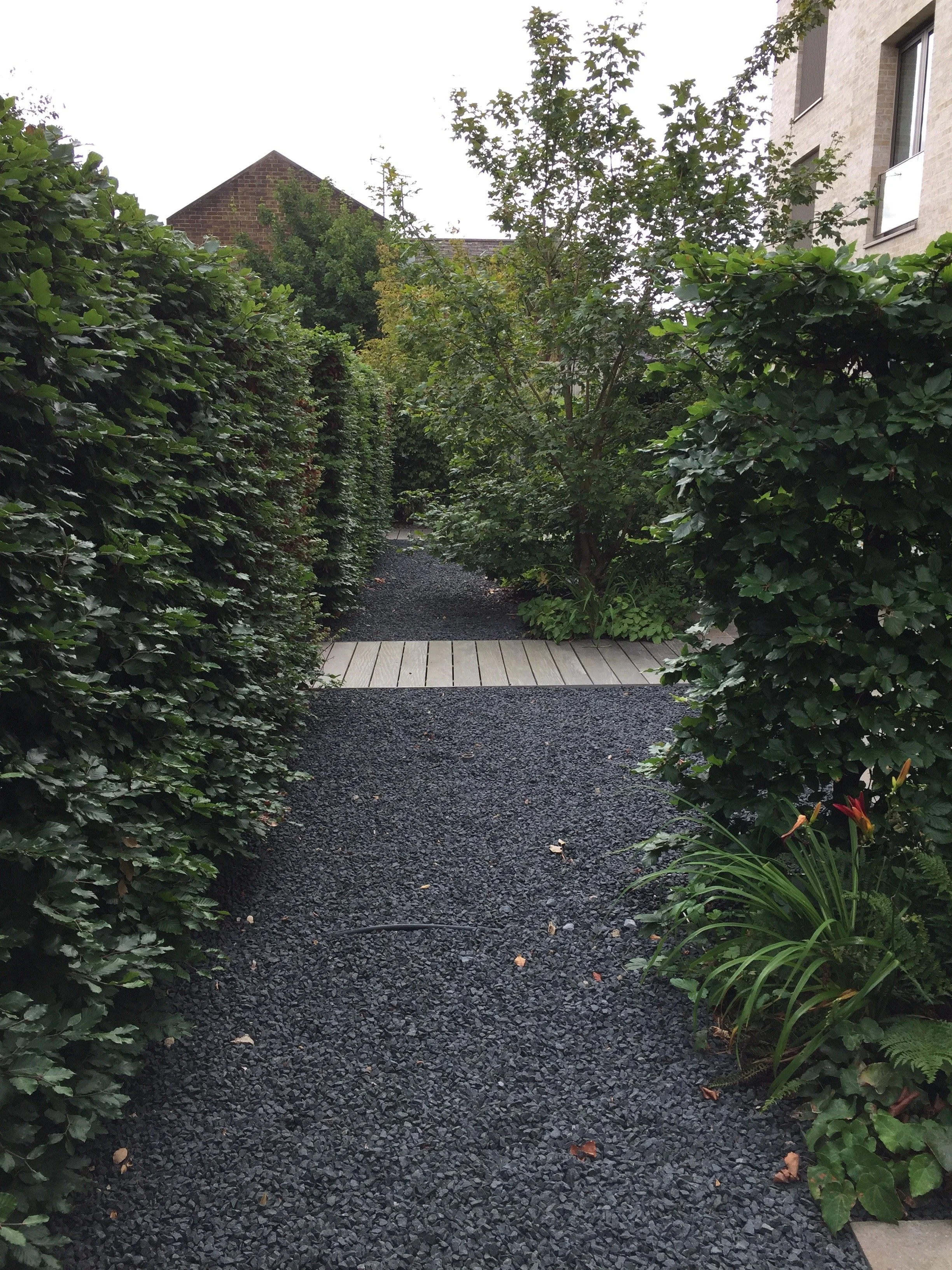 Paradise Gardens, Ravenscourt Road Guillaume Baltz Landscape Design (6).jpg