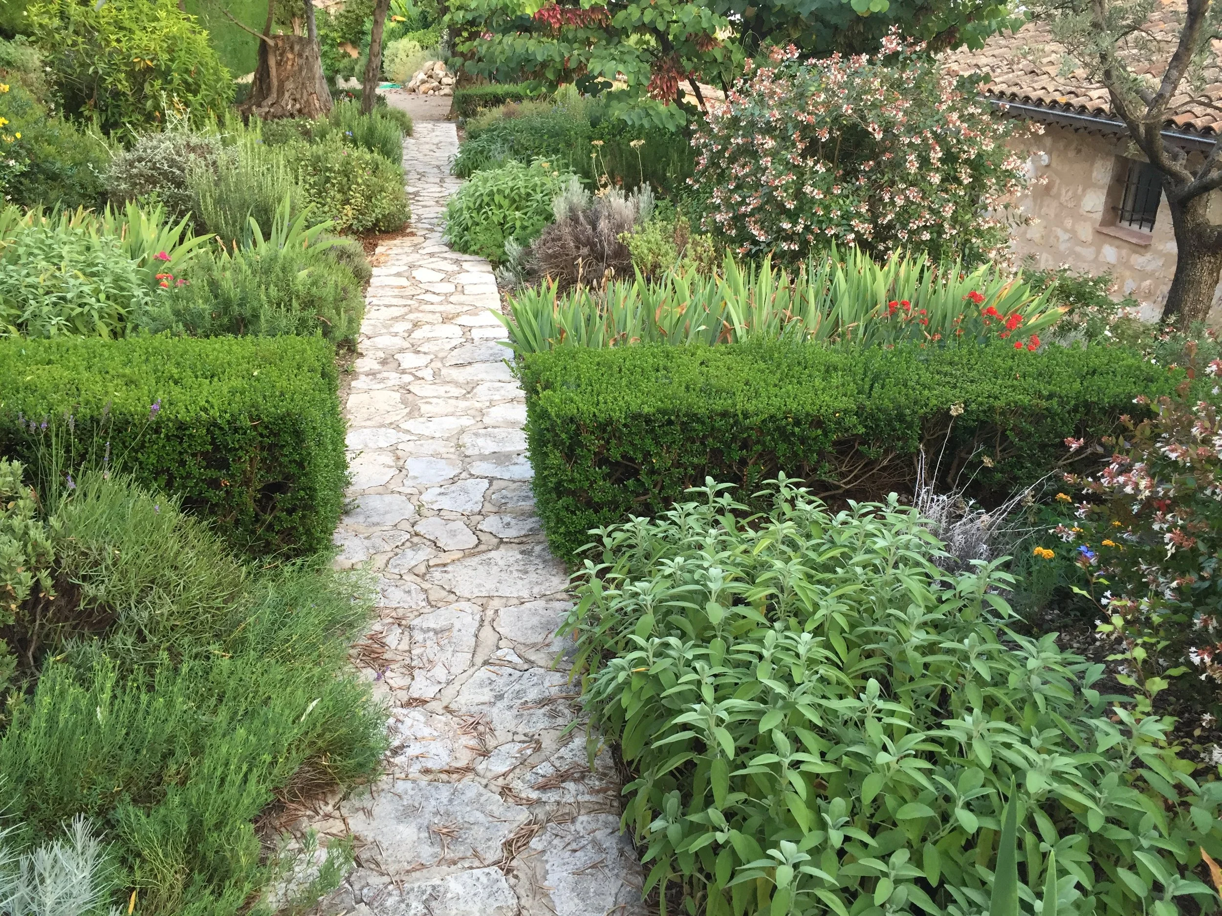 Vence French Riviera Guillaume Landscape Design (4).JPG