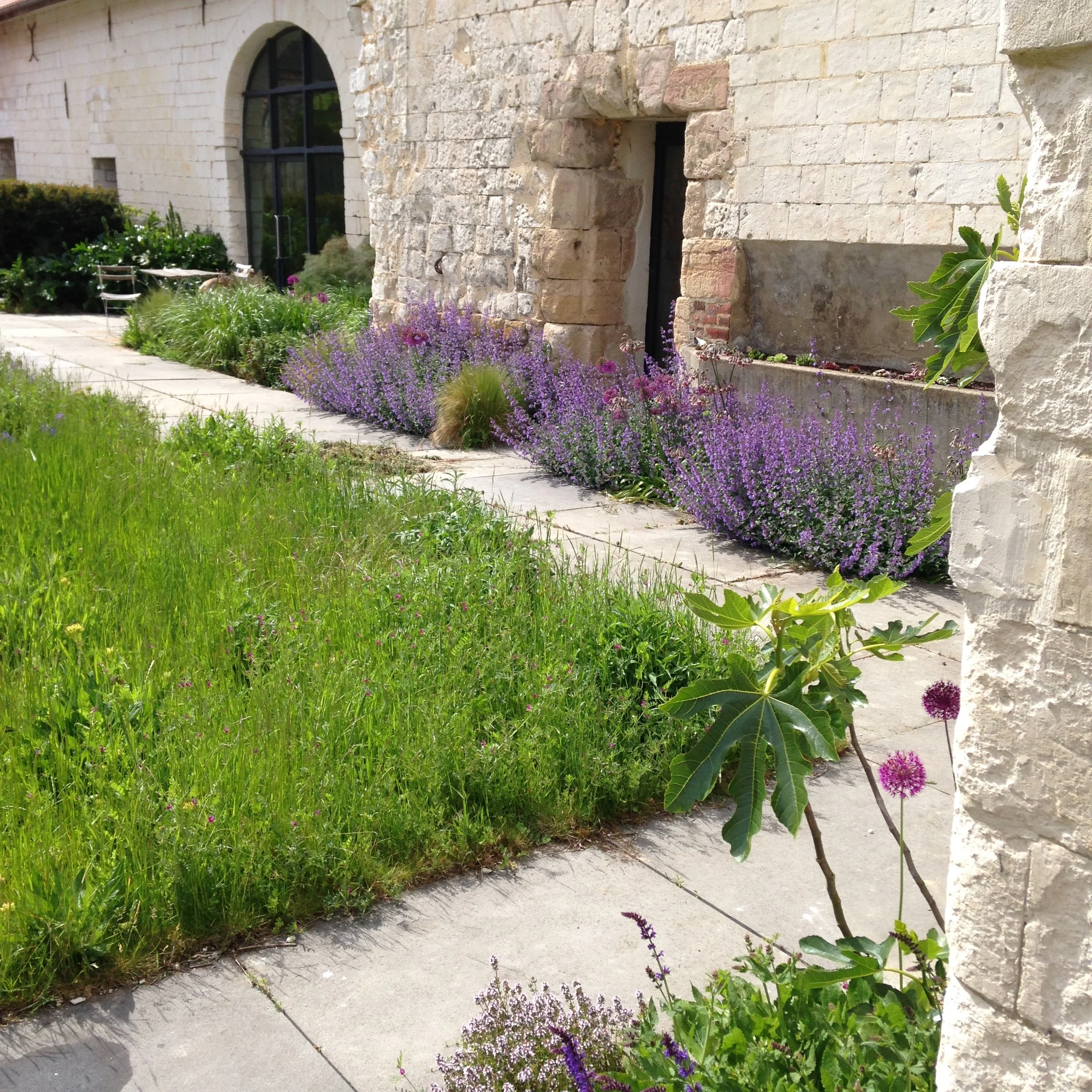 Pas de Calais Guilluame Baltz Landscape Design  (14).JPG