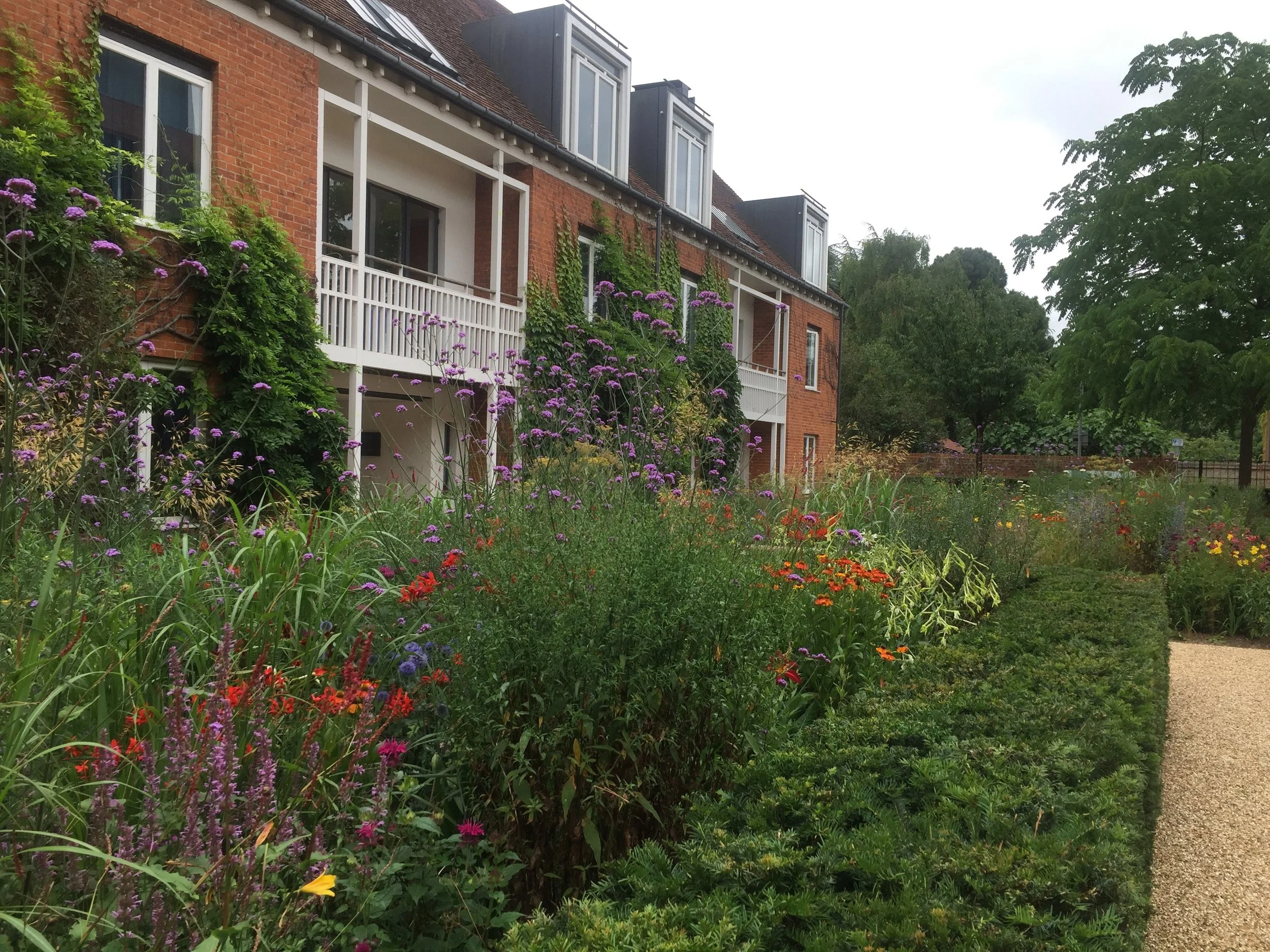 BHSLA-Newnham-College-garden_ Guillaume Baltz Landscape Design (16).jpg