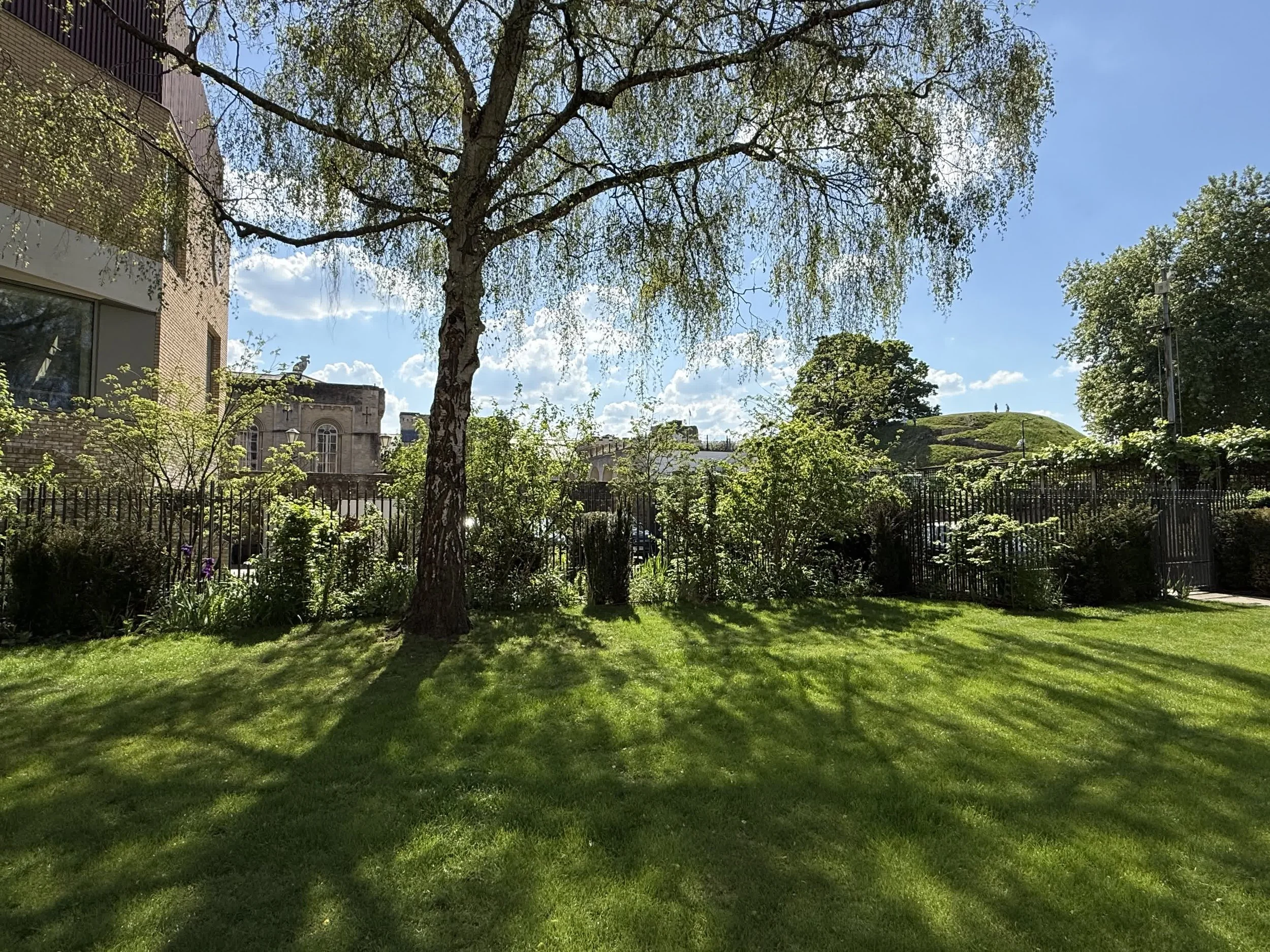St Peter's College Oxford Guillaume Baltz Landscape Design (10).jpg