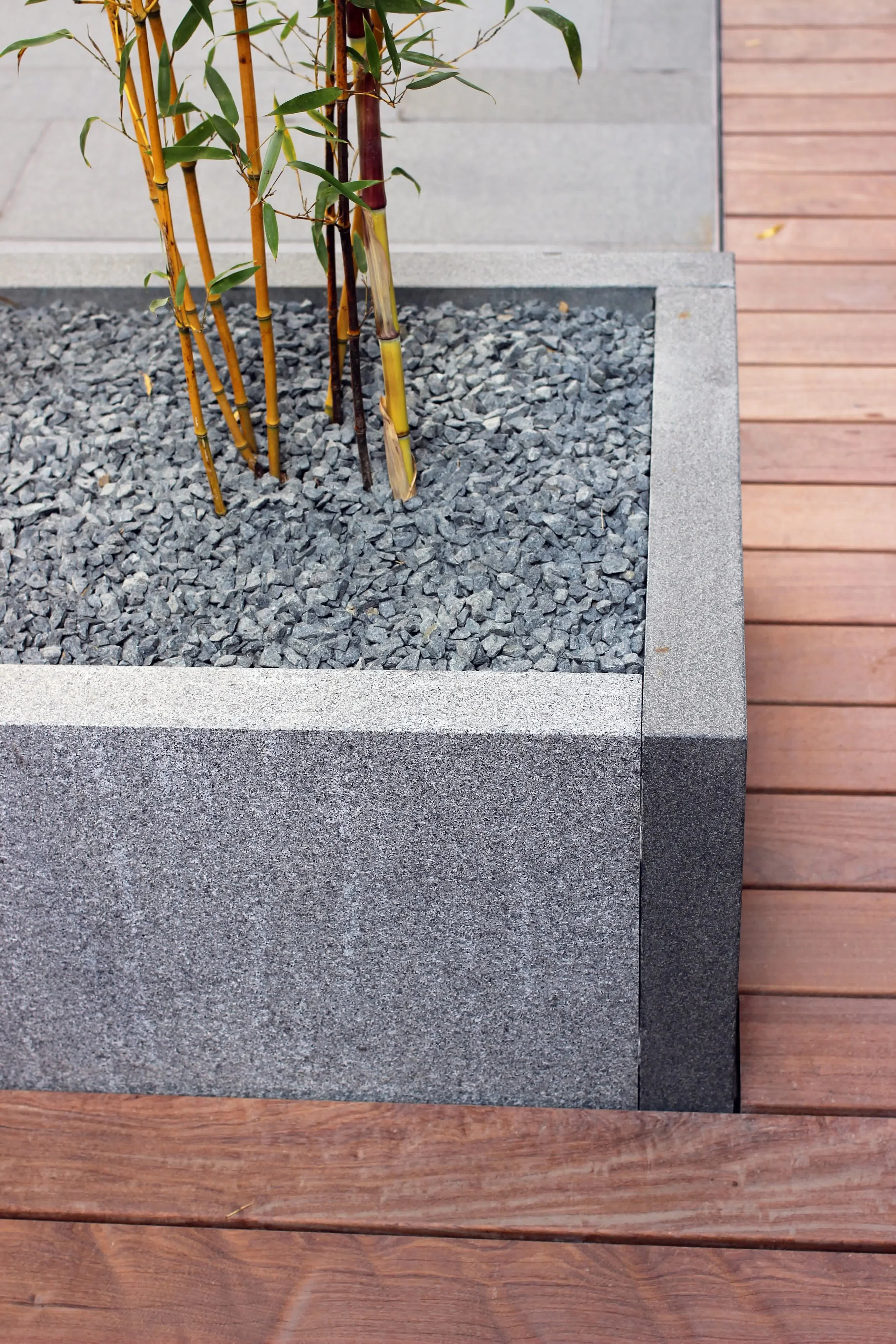 Chalcot Yard Primrose Hill Guillaume Baltz Landscape Design (3).jpg