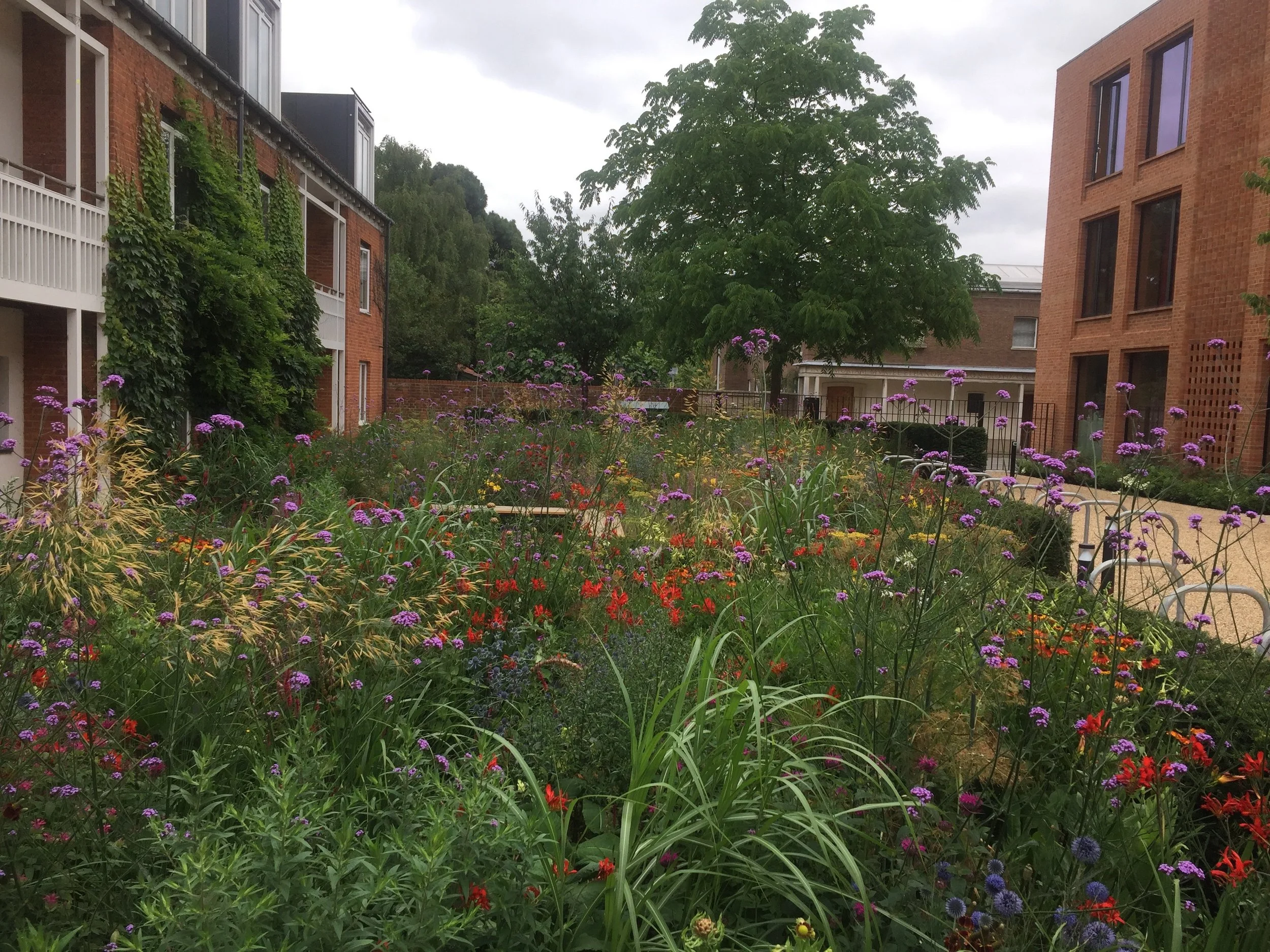 BHSLA-Newnham-College-garden_ Guillaume Baltz Landscape Design (17).jpg