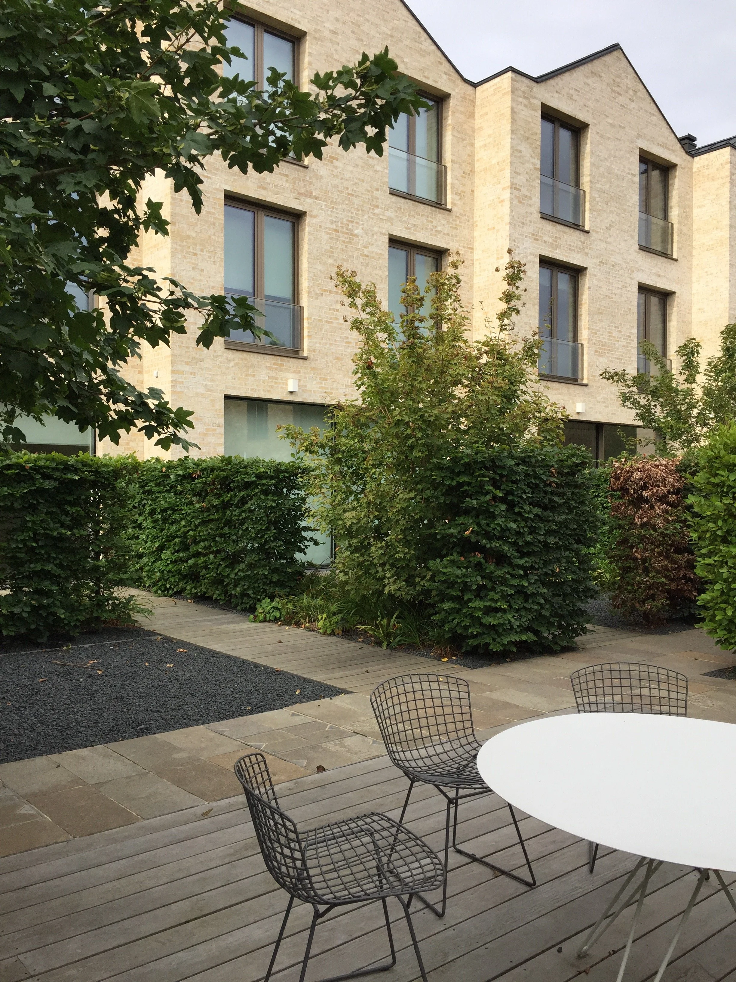 Paradise Gardens, Ravenscourt Road Guillaume Baltz Landscape Design (10).jpg