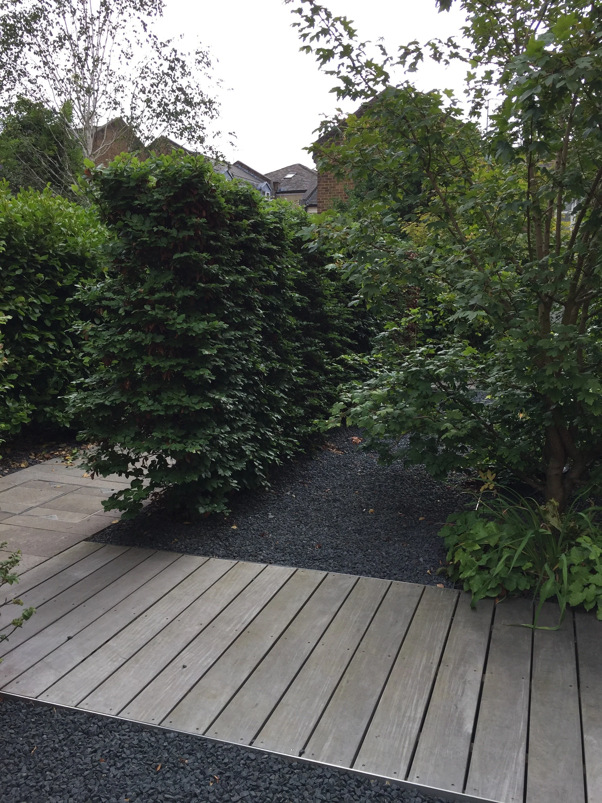 Paradise Gardens, Ravenscourt Road Guillaume Baltz Landscape Design (9).jpg