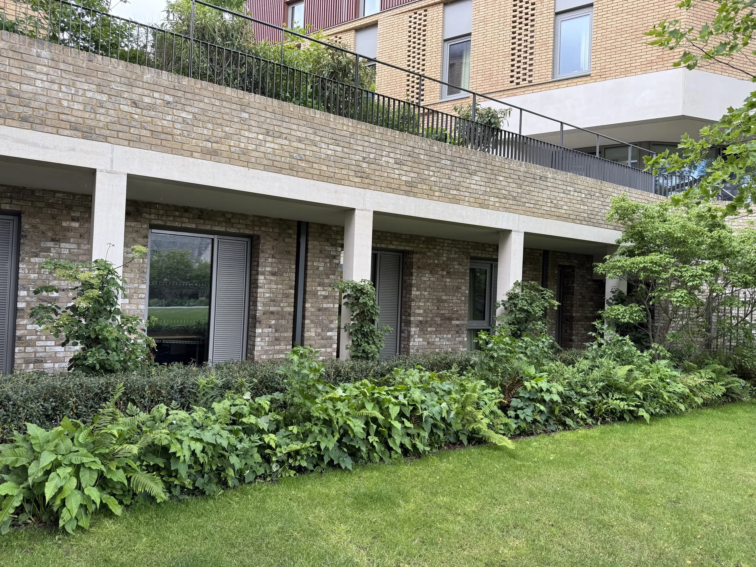 St Peter's College Oxford Guillaume Baltz Landscape Design (11).jpg