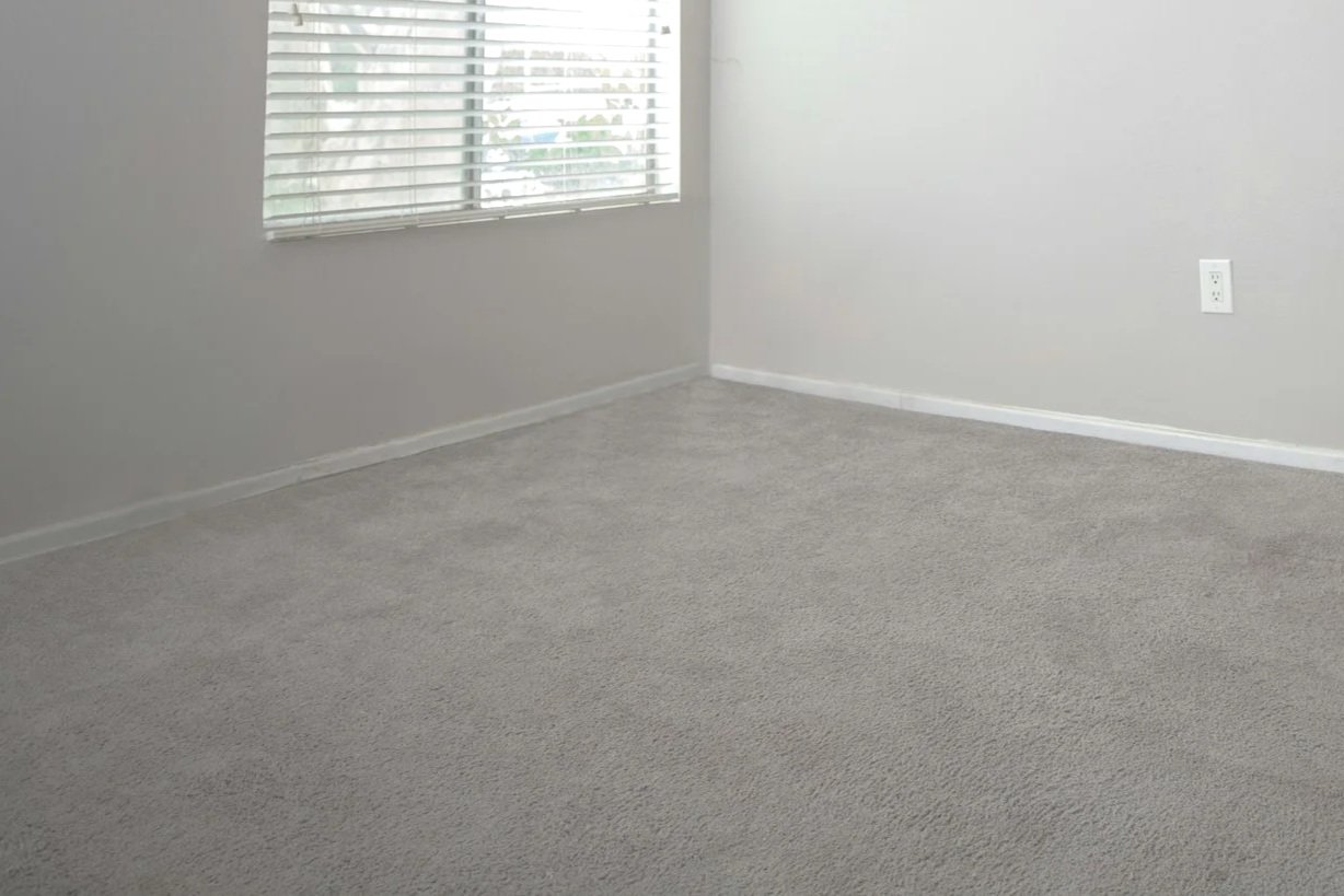 Full Rooms of Carpet Cleaned, Treated, and Protected