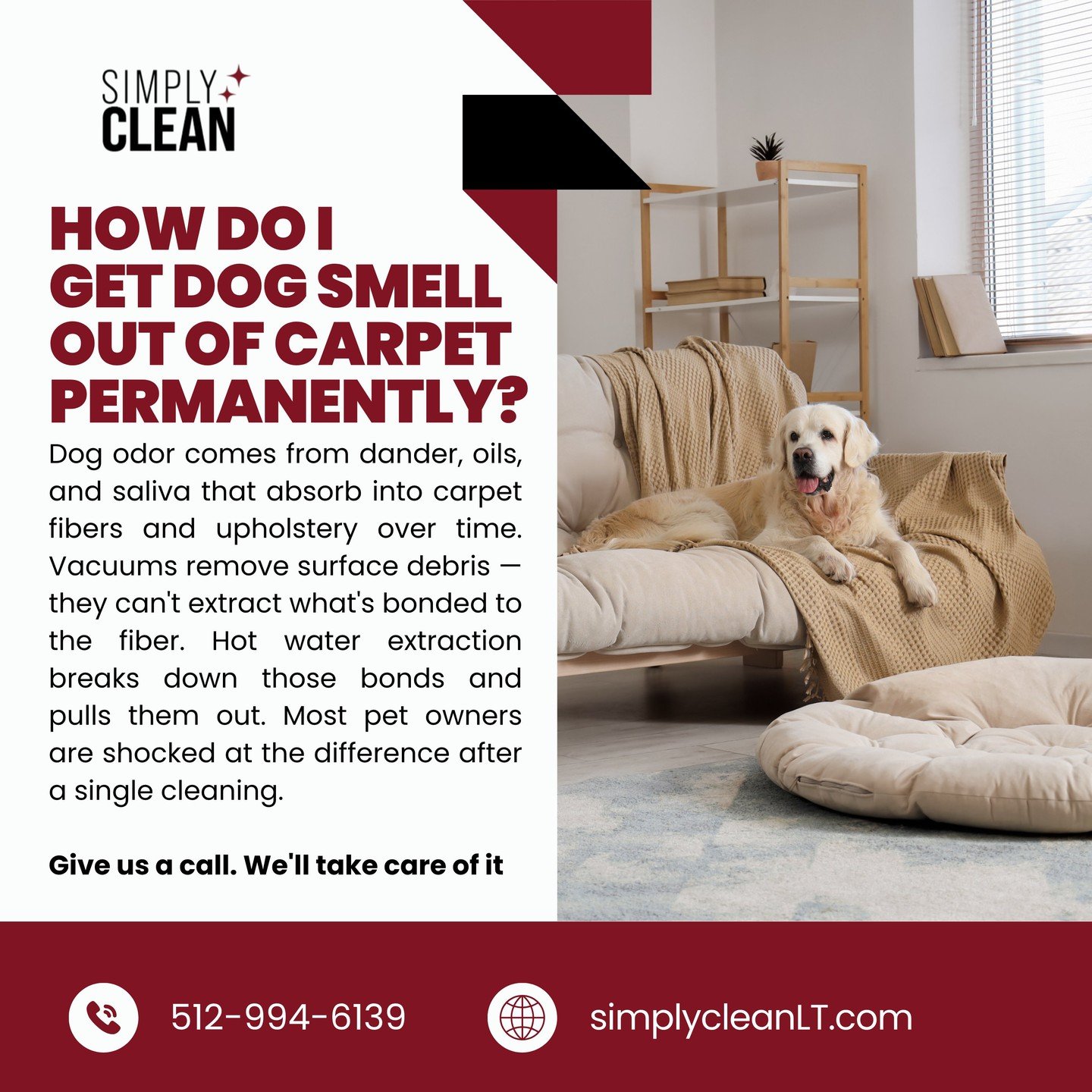 Vacuumed it twice. Still smells like dog. 🐾

Vacuuming picks up hair &mdash; not odor. Dog smell comes from oils and dander bonded into the carpet fibers. Hot water extraction is what actually pulls it out.

Most pet owners are shocked at the differ