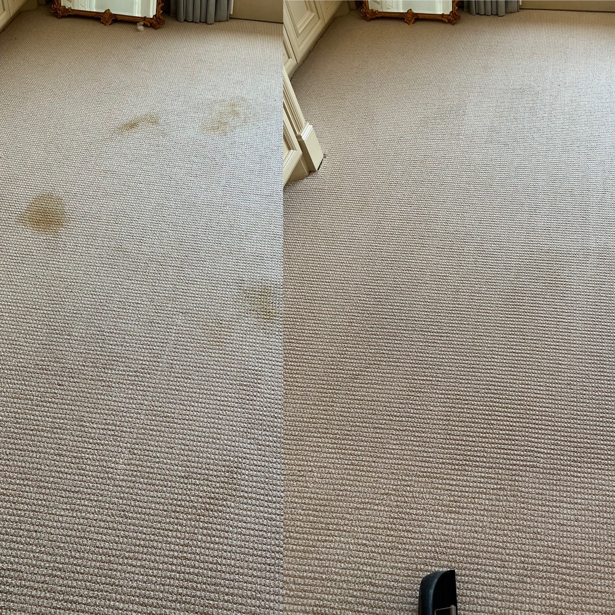 Comparison of a carpet with a stain before and after cleaning, showing a stained section on the left and a clean section on the right.