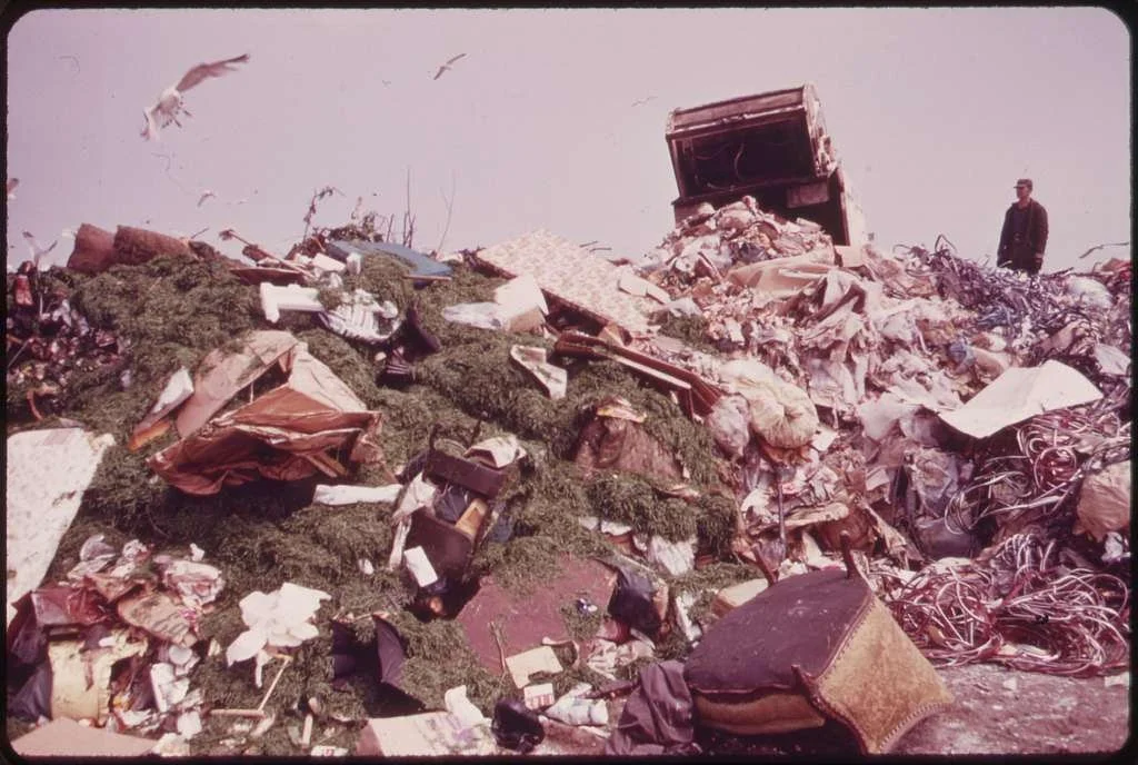 The Smell of Progress: How Jamaica Bay Became a Dumping Ground