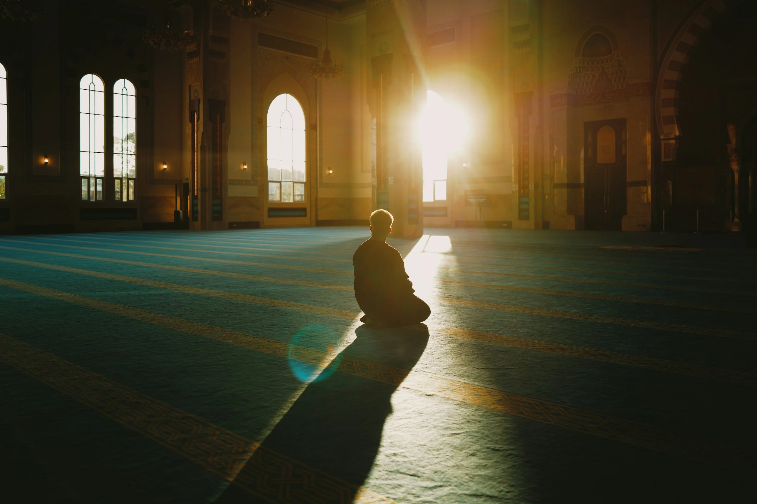 The Work of Light Series