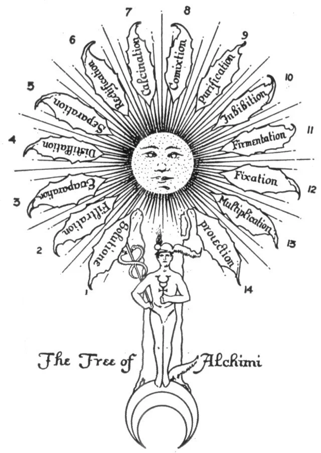 The Tree, the Ladder, the Road, and the Labyrinth&nbsp;