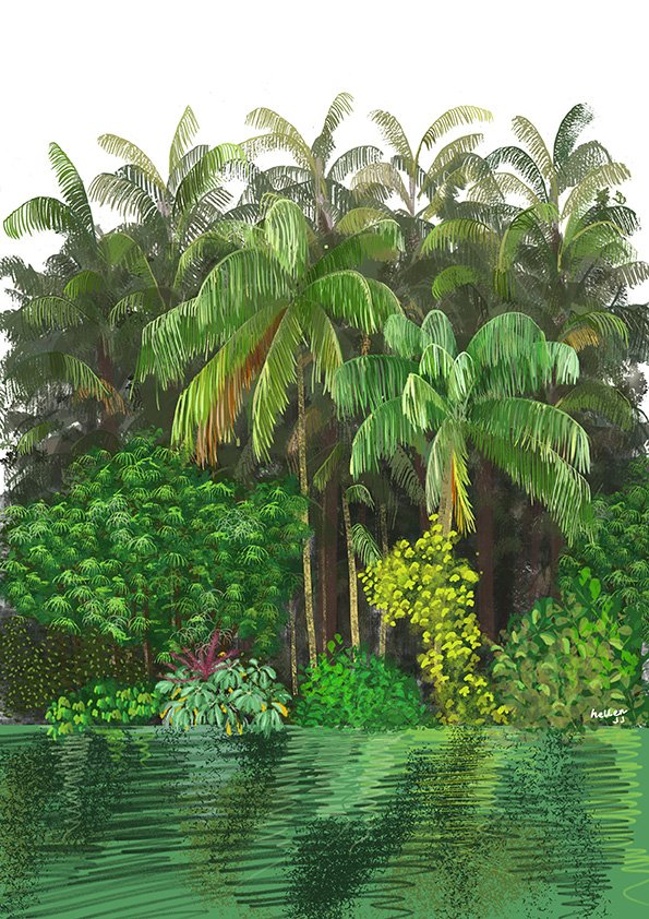 Tropical Garden