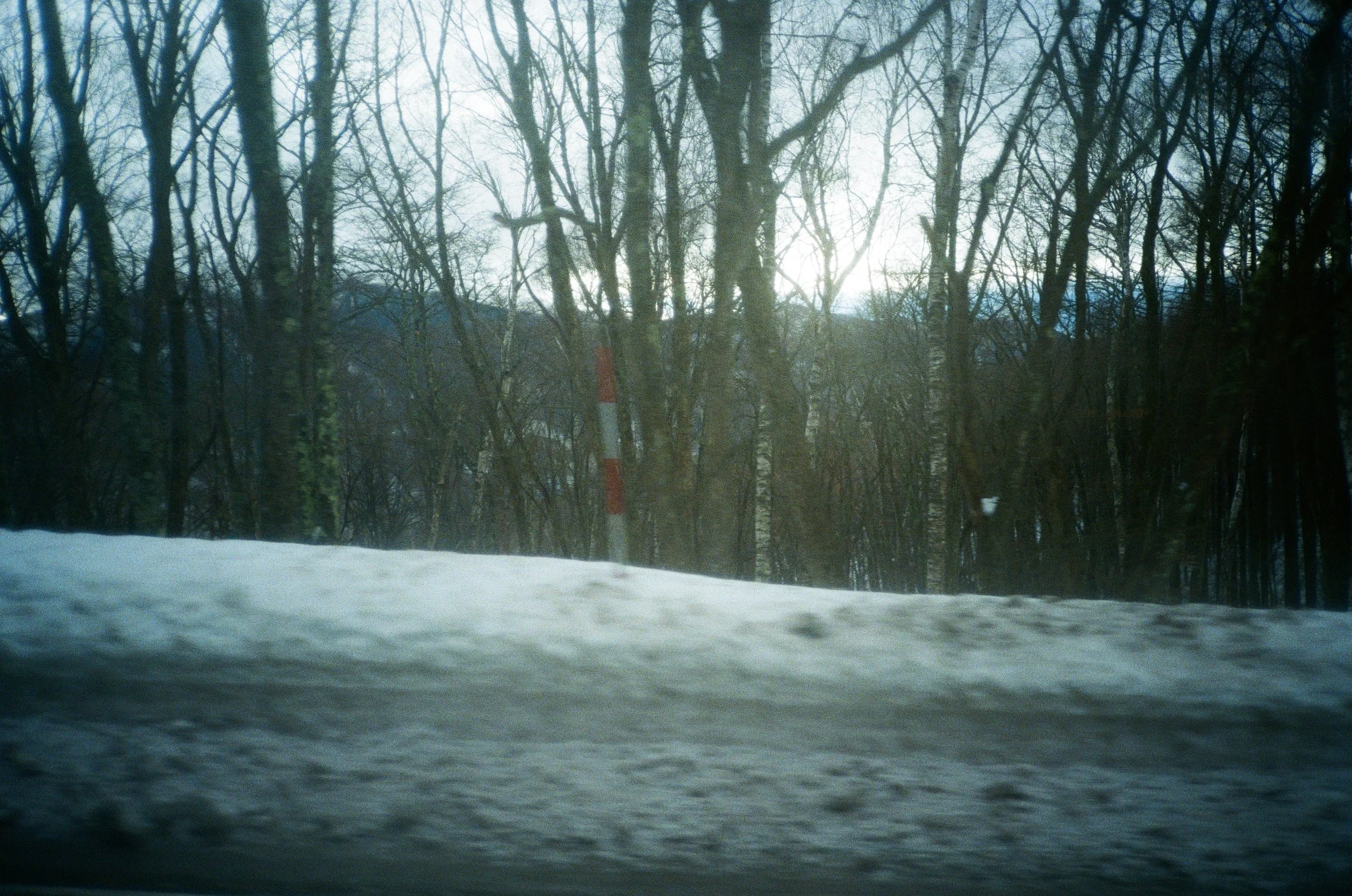 A snowy landscape with leafless trees and a bright sky in the background.