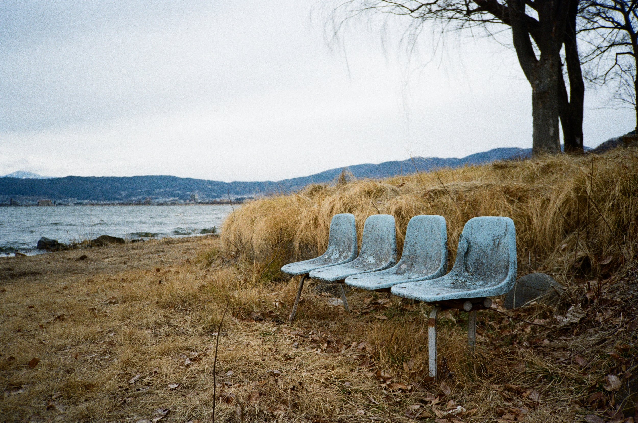 Four empty gray chairs are arranged in a line on a lakeside beach, with dried grass and a tree behind them. The background features a body of water, distant mountains, and a cloudy sky.