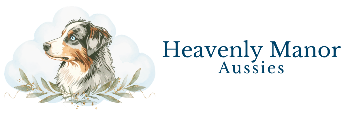 Heavenly Manor Australian Shepherds