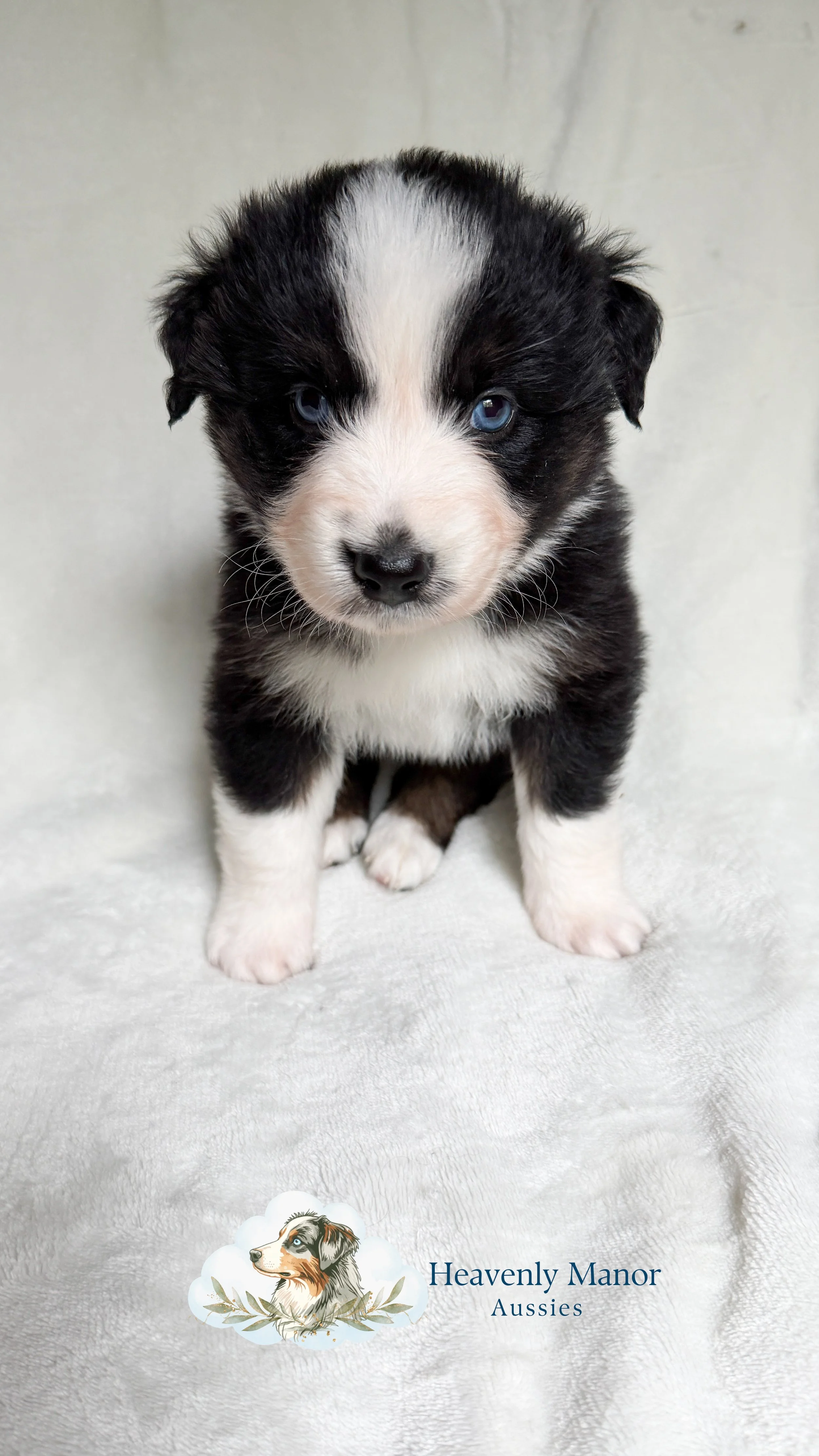 Butler - 4w5d