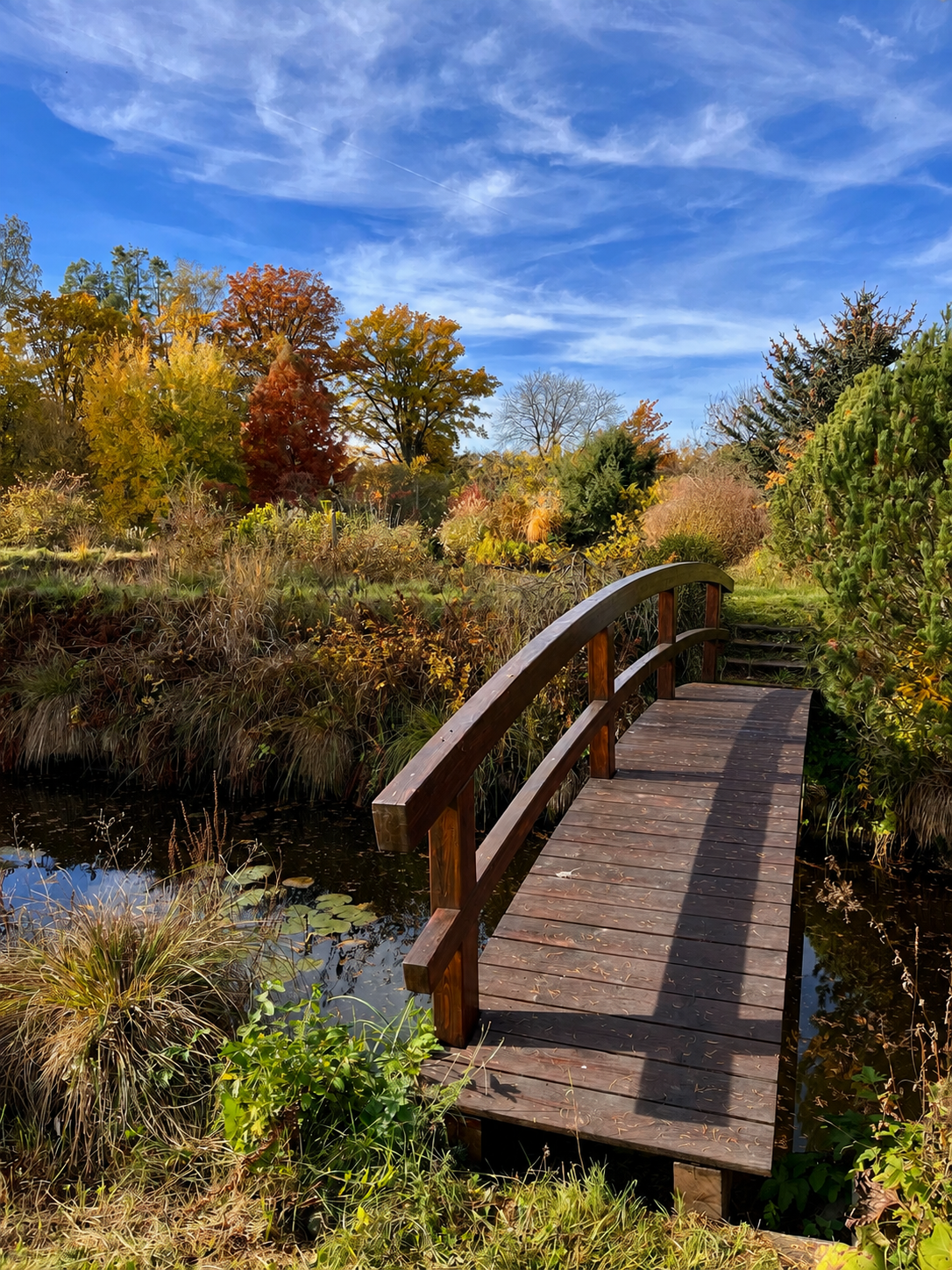 Ein kleiner Holzsteg führt über einen Teich im Herbst mit bunten Laubbäumen im Hintergrund und einem blauen Himmel mit wenigen Wolken.