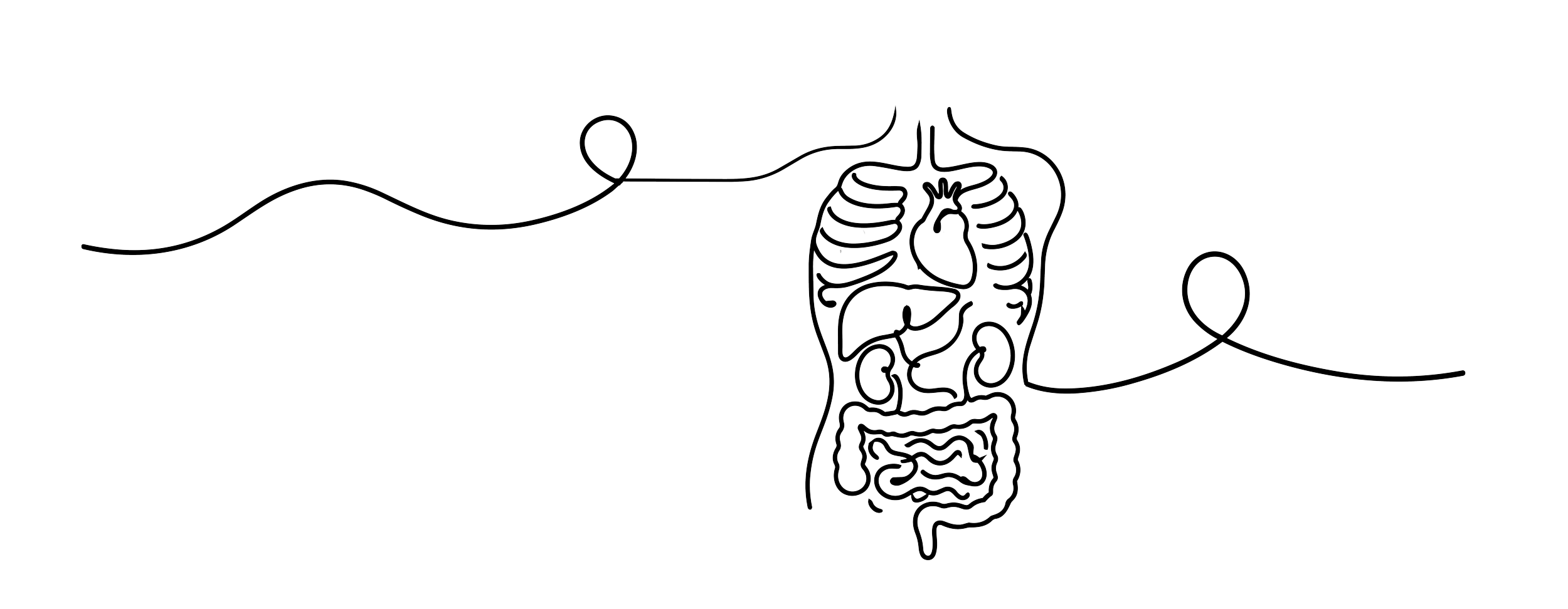 Line drawing of a human digestive system with the esophagus, stomach, intestines, and other organs on a black background.