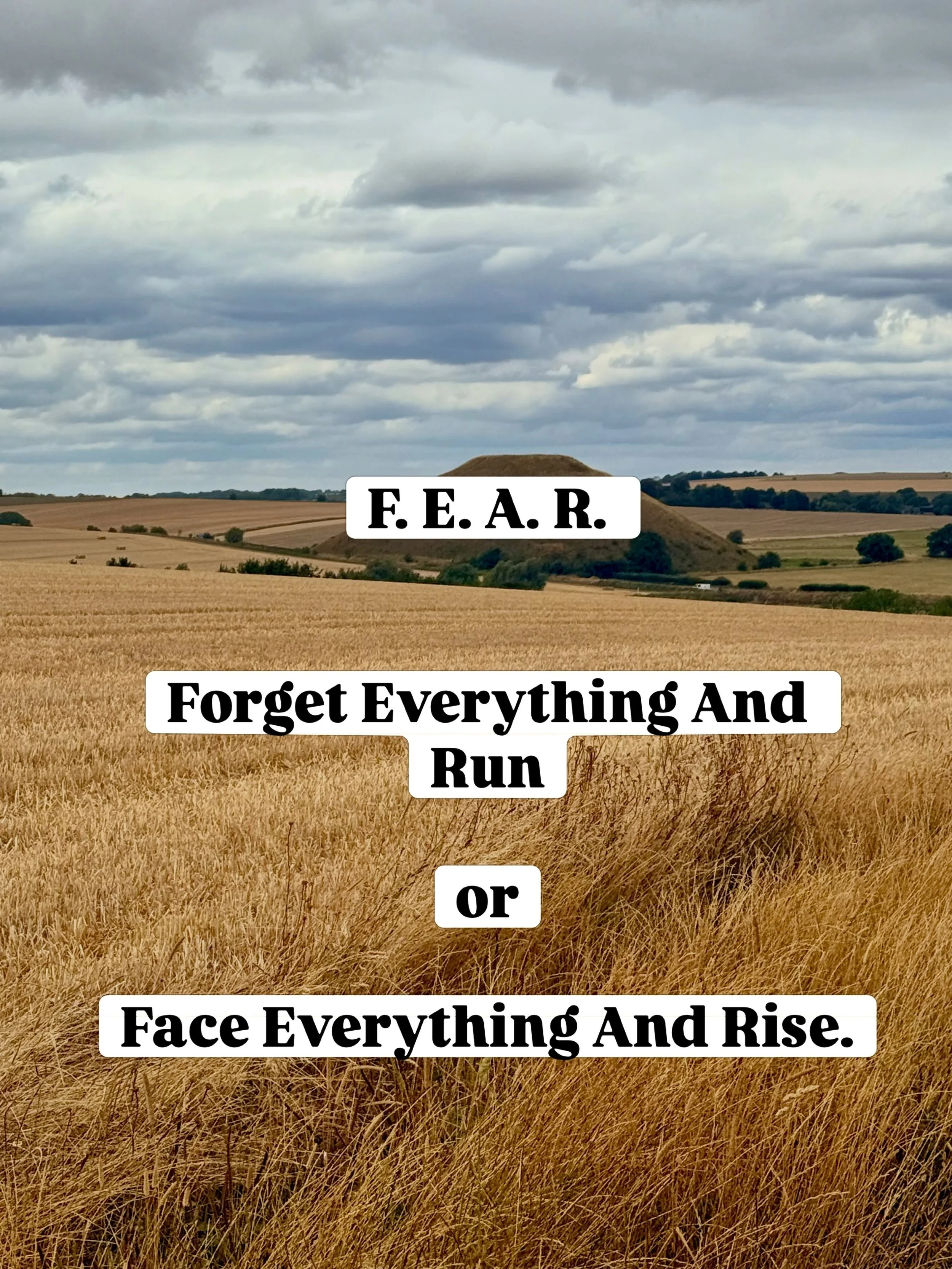 Fear can mean two things:

Forget Everything And Run
or
Face Everything And Rise.

But healing has taught me that there may be a third possibility.

Sometimes we don&rsquo;t need to run from fear.
And we don&rsquo;t need to force ourselves to conquer