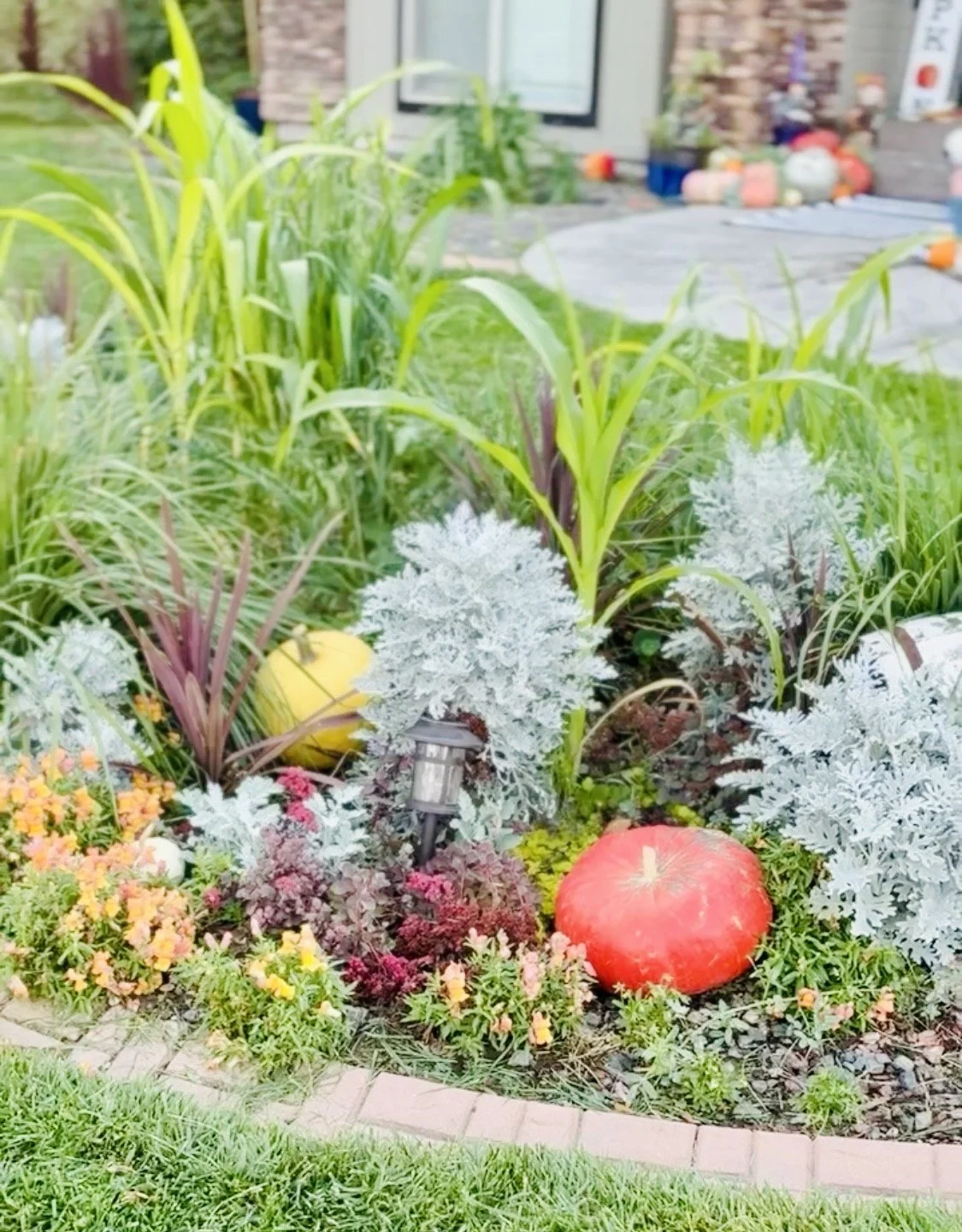 The Botanical Border Curation — Extending your home's seasonal story past the hard concrete of the porch. We seamlessly weave premium harvest elements straight into your surrounding garden landscape, using rich color matrices to artfully contrast aga