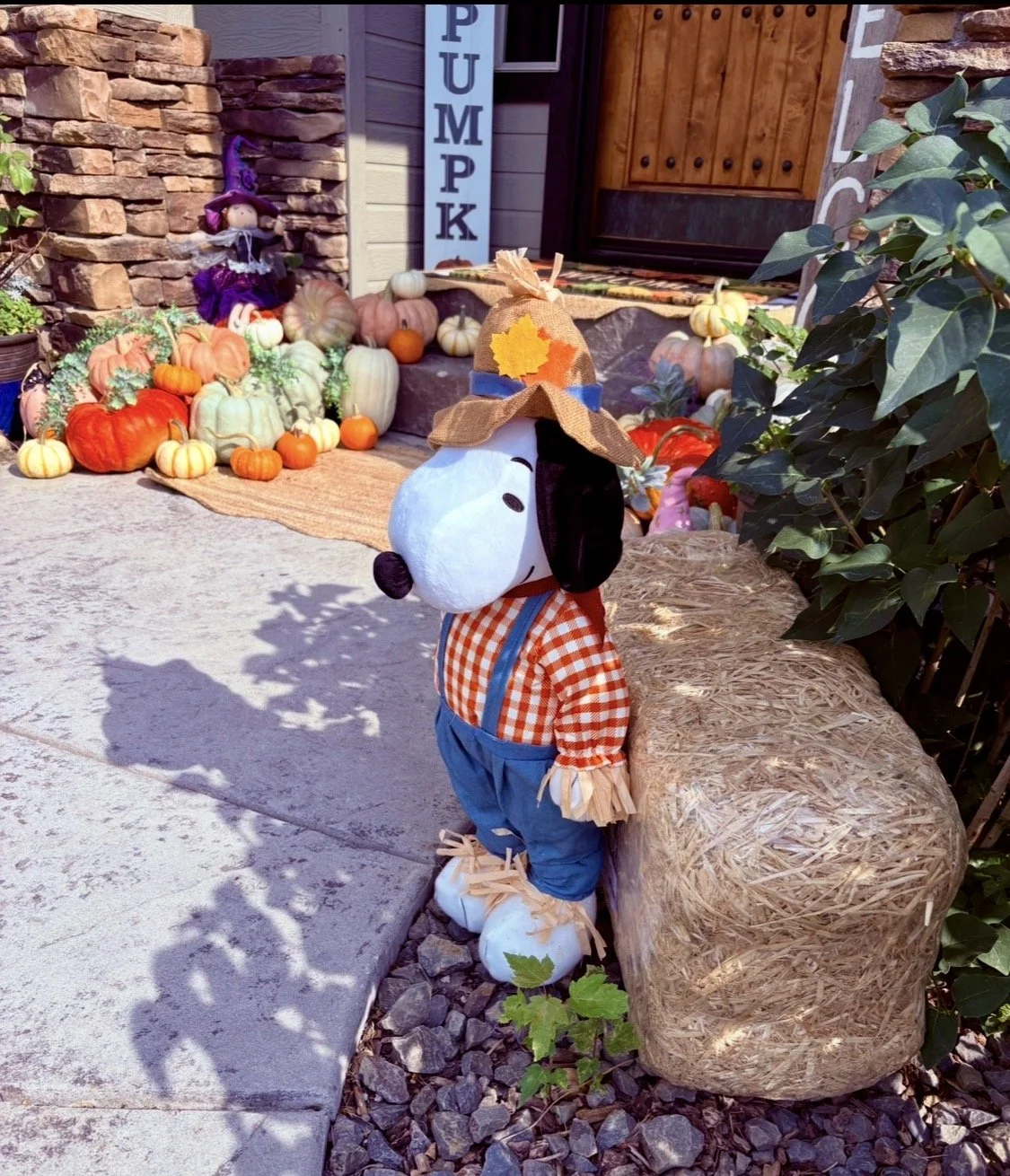 The Great Pumpkin Vignette
Caption: The Great Pumpkin Vignette — Adding a spoonful of nostalgic sugar to your autumn layout with crisp corn stalks, dense straw beds, and licensed family favorites.
