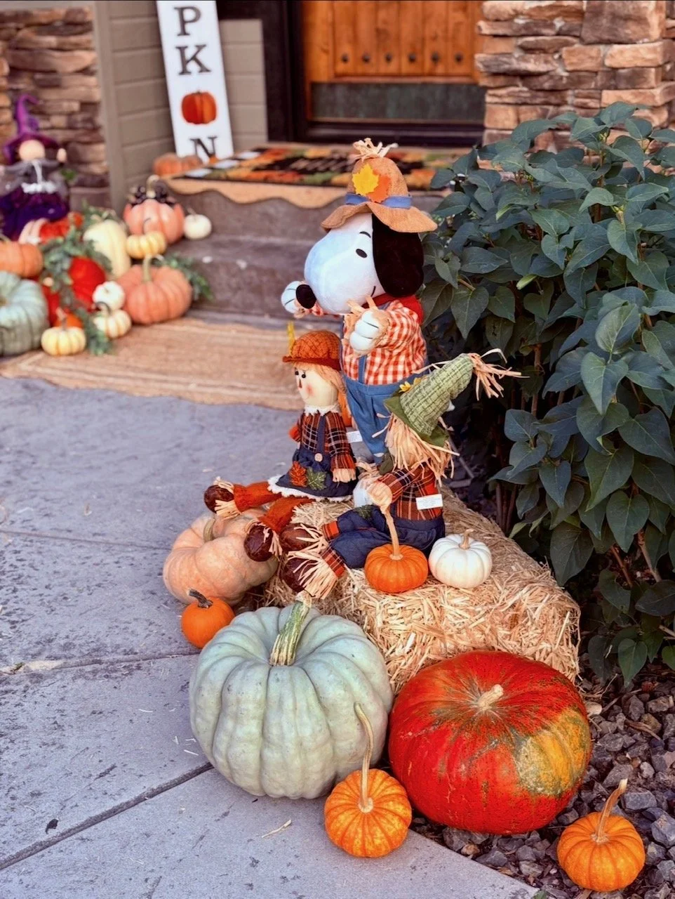 pumpkins6.jpeg
