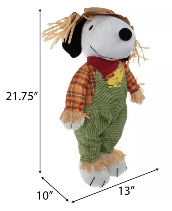 image5 (5).jpeg