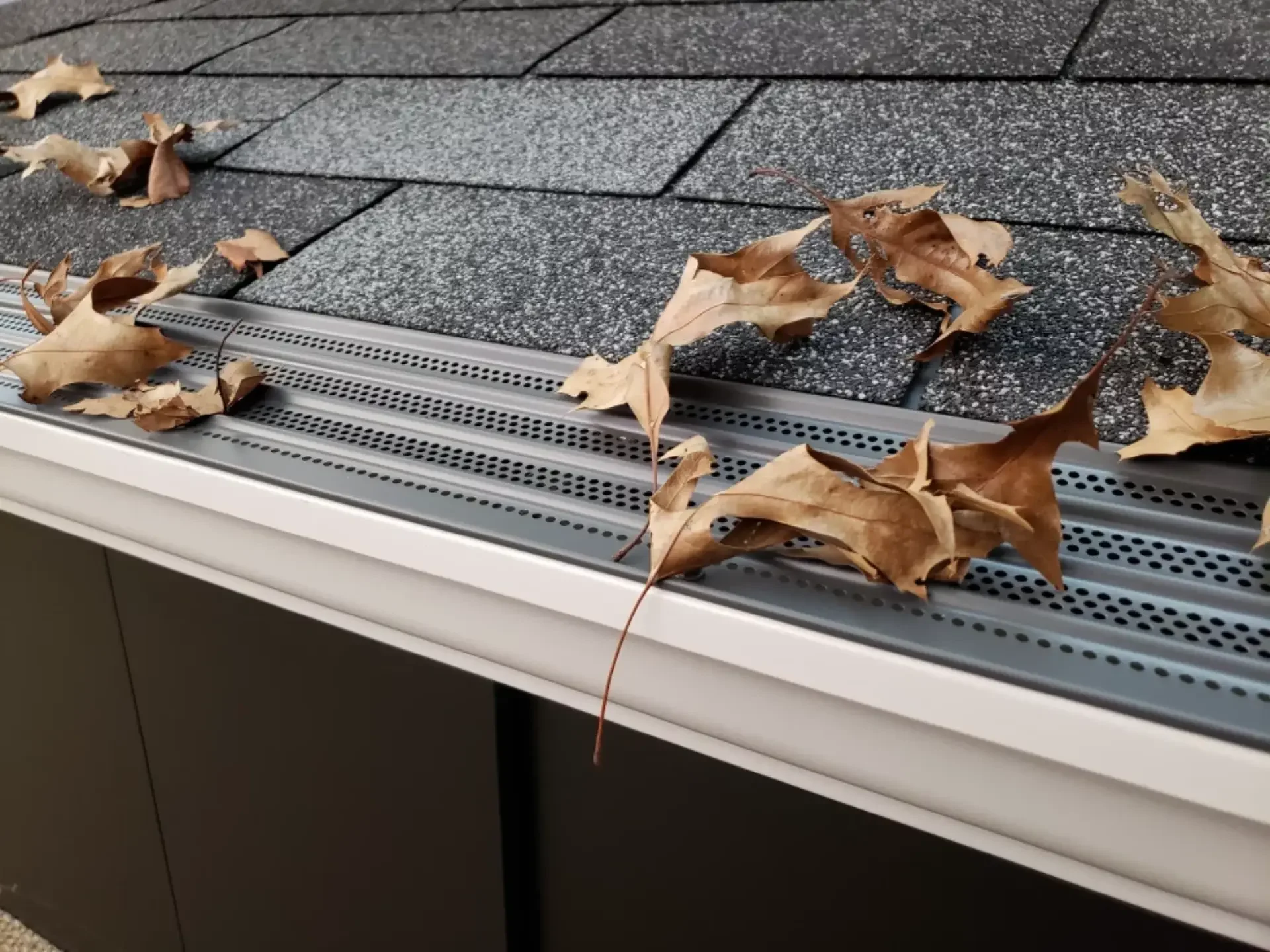 Dried brown leaves scattered on a window ledge with gray shingles visible outside.
