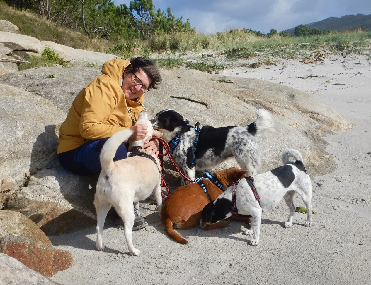 Valérie Derbaudrenghien smiling on a rocky beach surrounded by her four dogs all rescued from Bali, Indonesia.