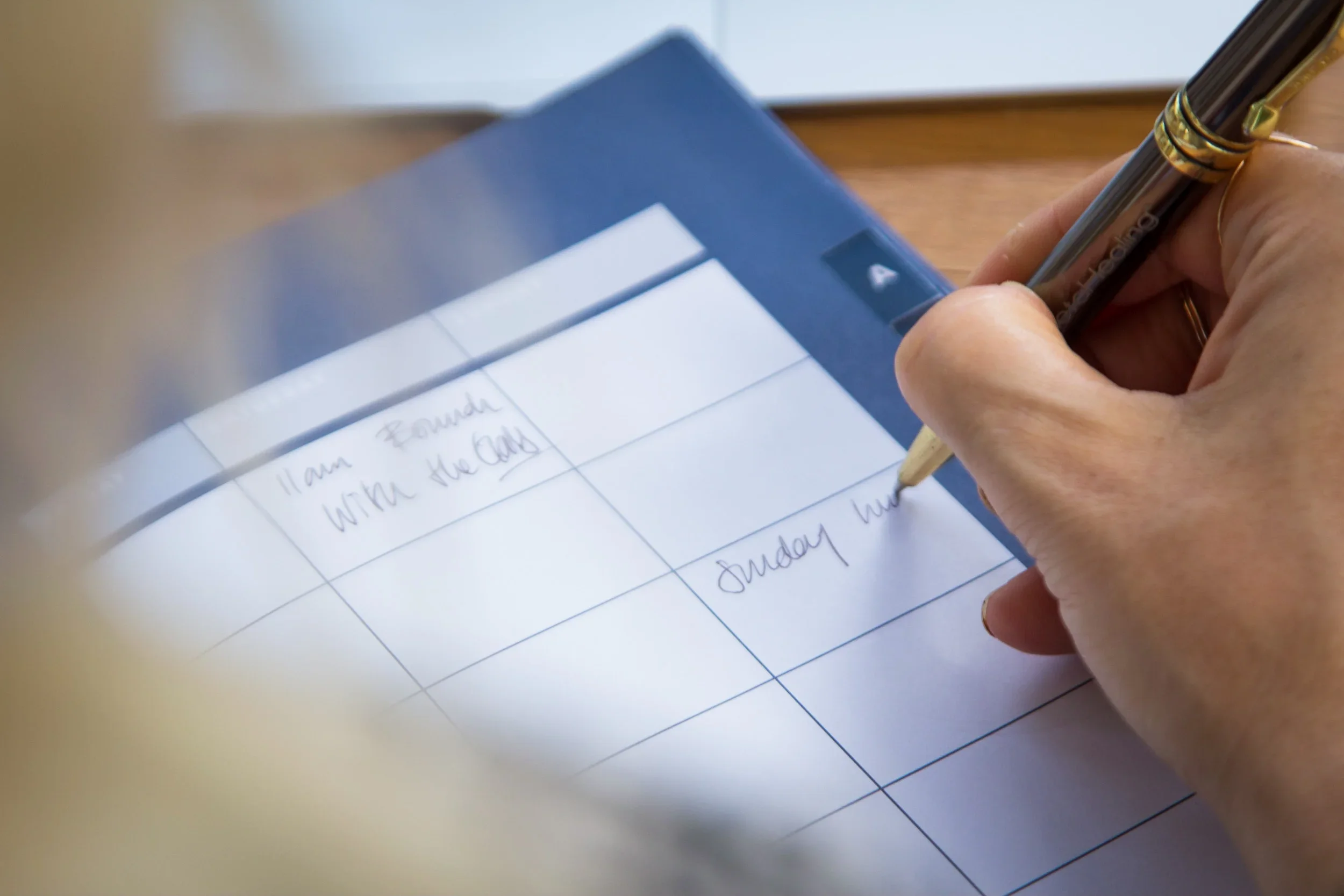 Close-up of a person's hand writing notes in a blue daily planner with an elegant pen.