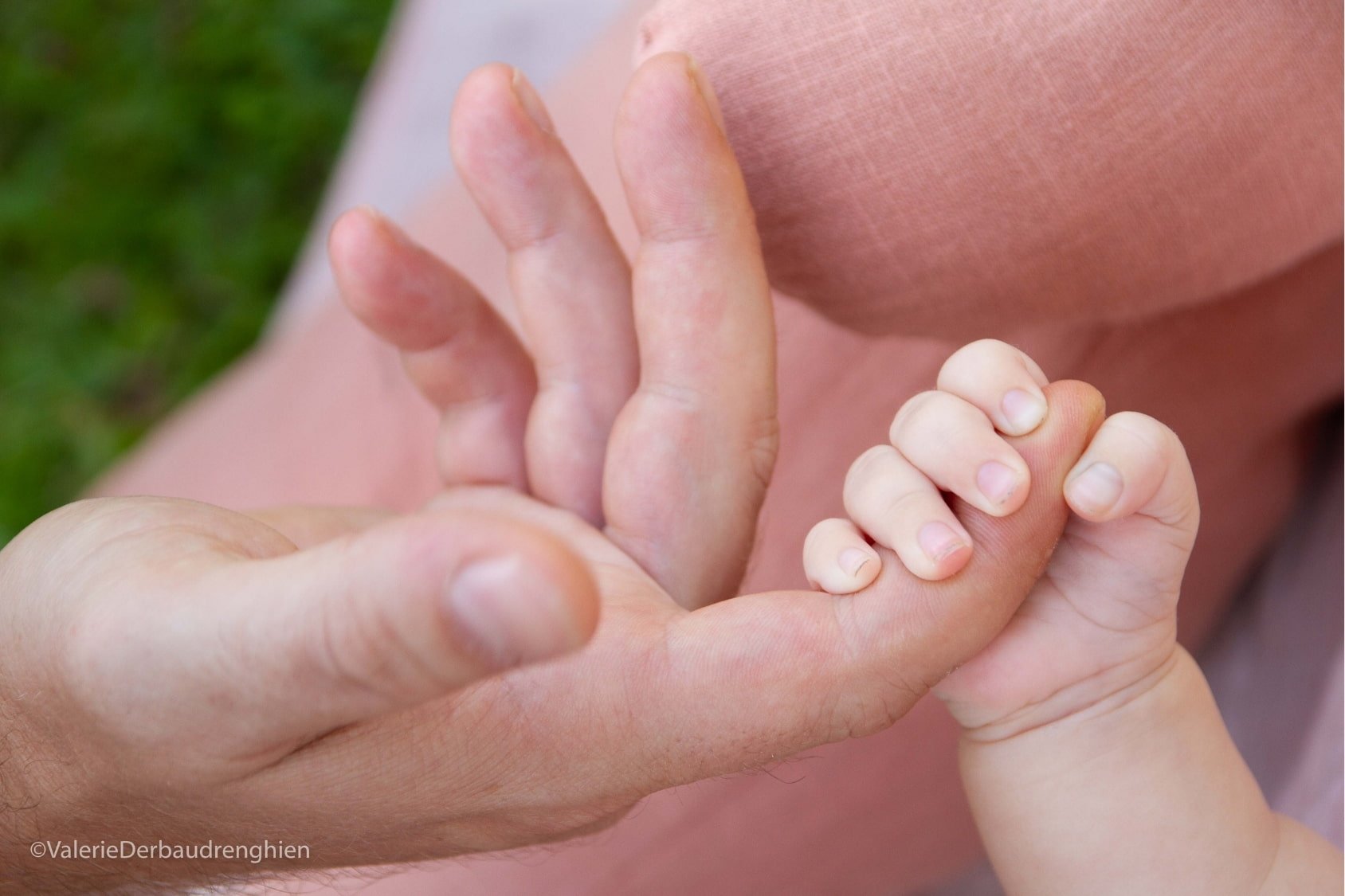 Baby’s tiny hand grips a parent’s finger, a detail shot from a family photo session