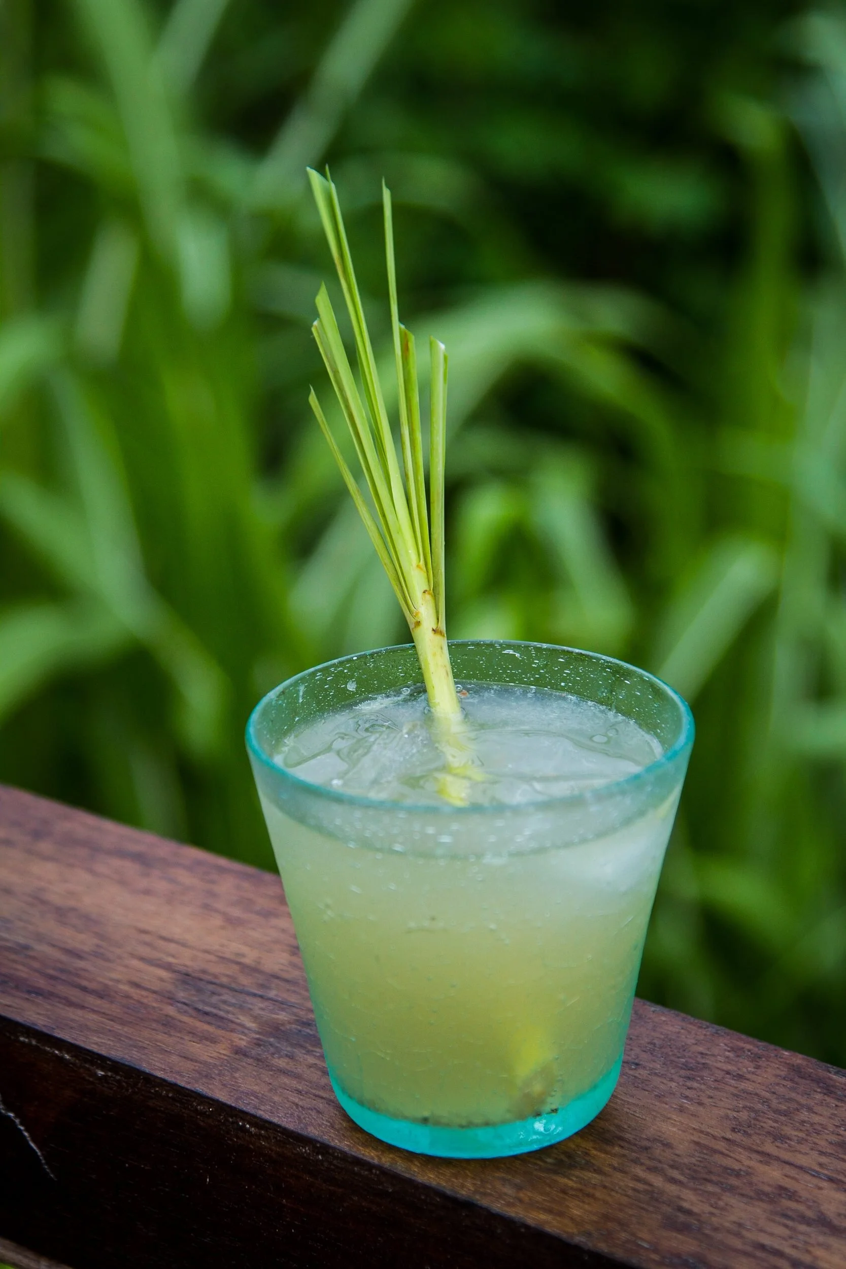 Vertical shot of a cold iced lemongrass drink served in a teal-tinted glass garnished with a fresh lemongrass stalk, resting on a wooden ledge against lush green garden foliage, photographed by Seña Studio.