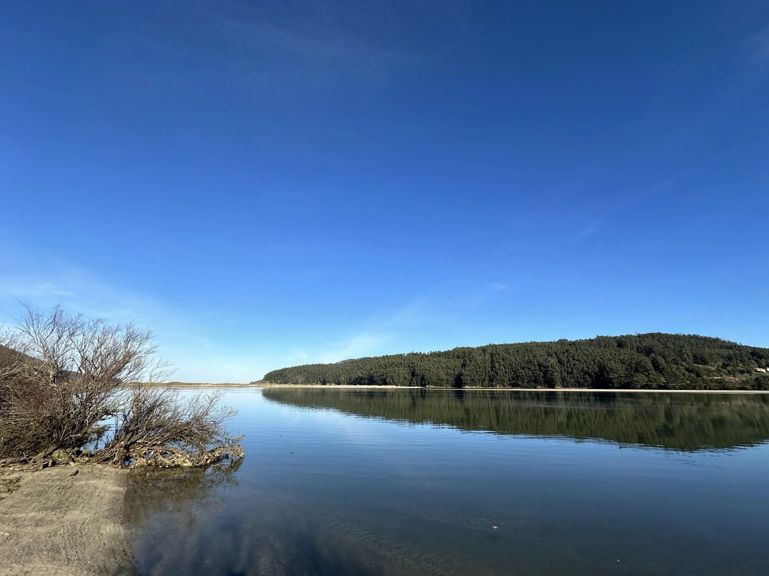 Wide landscape shot of a calm, mirror-like estuary reflecting dense pine-forested hills under a clear blue sky in Northern Galicia, photographed by Seña Studio.
