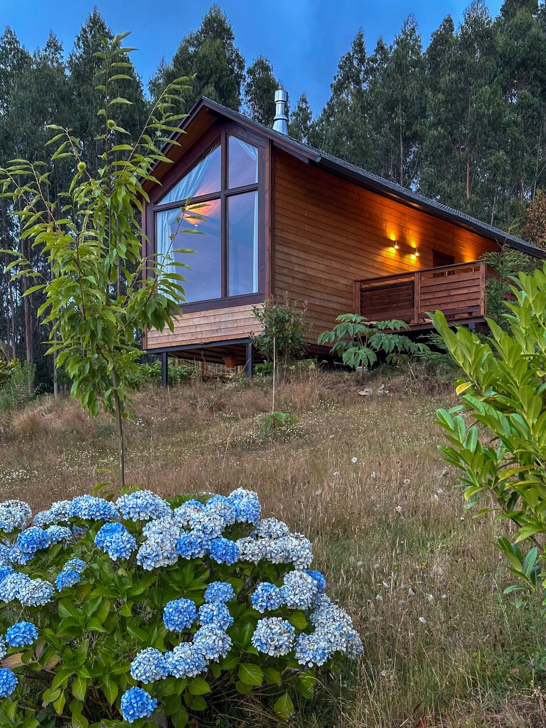Modern wooden cabin exterior lit by warm evening lights on a grassy hill framed by blooming blue hydrangeas and eucalyptus trees at Haras de Bordo, photographed by Seña Studio.