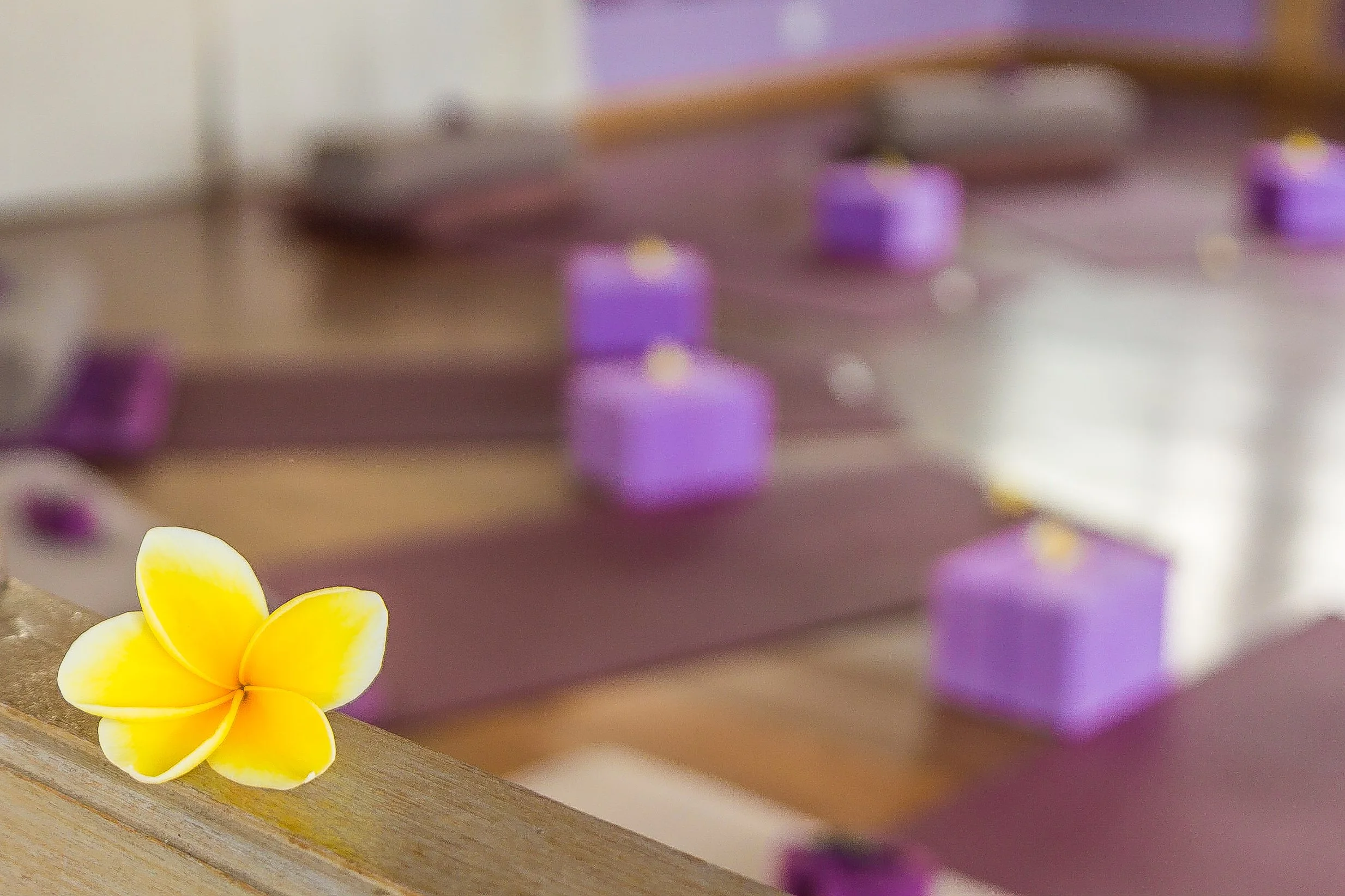Selective focus on a yellow frangipani flower placed on a wooden ledge with soft-focus purple yoga mats and foam blocks in the background, photographed by Seña Studio.