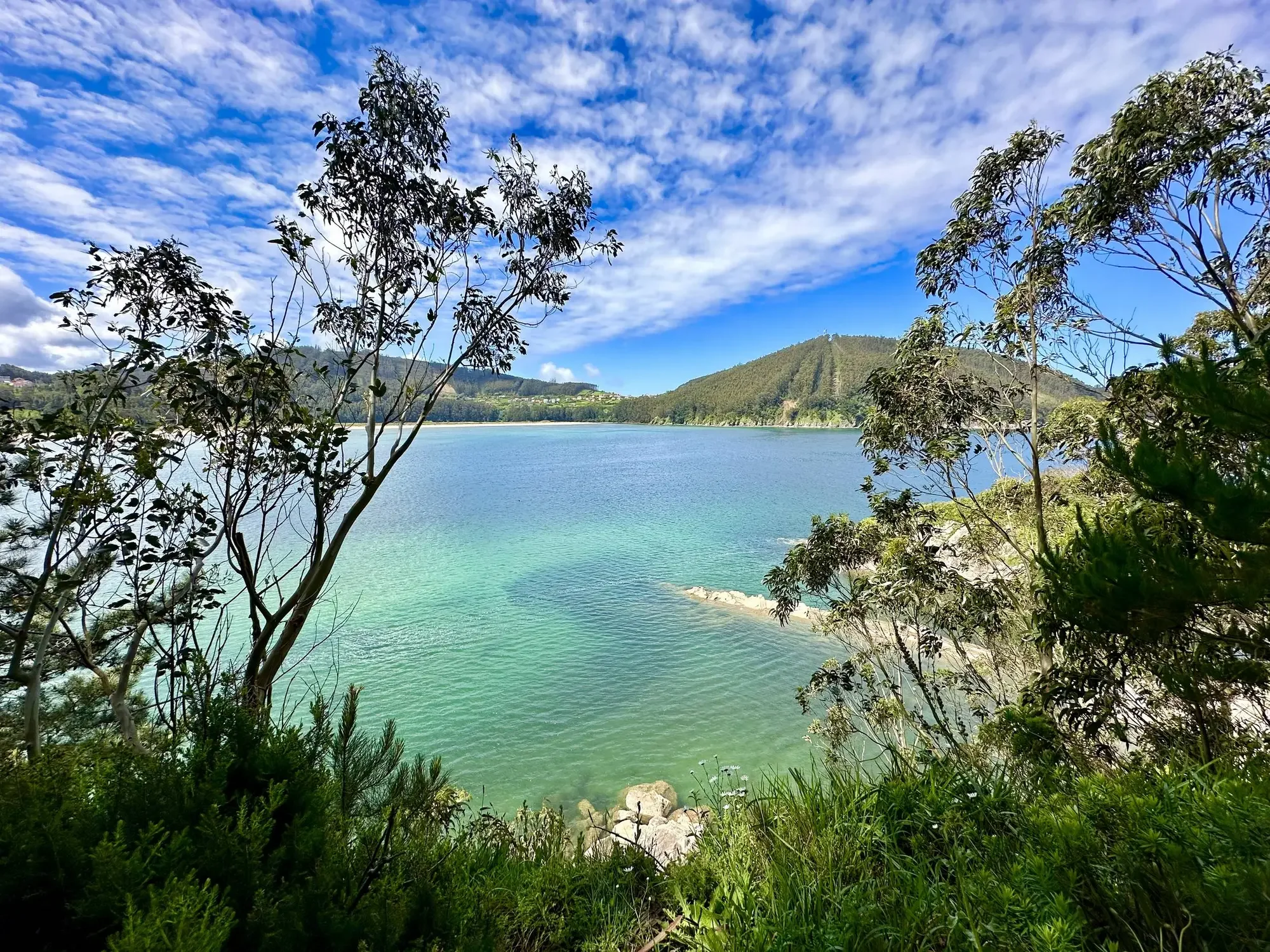 Wide shot of a quiet sandy beach meeting clear, shallow green ocean water bordered by a dense pine and eucalyptus forest along the Galician coast, photographed by Seña Studio.