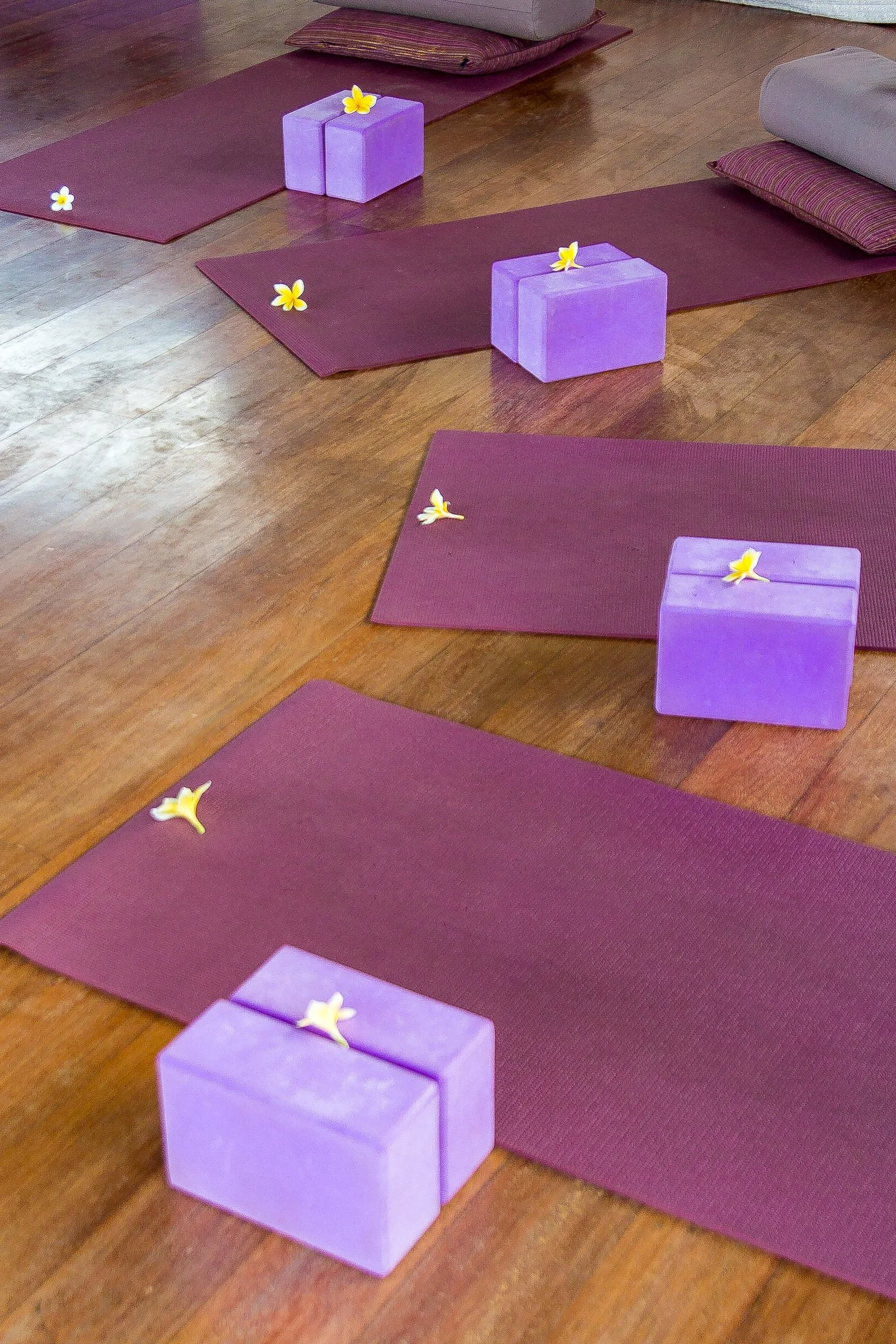 Interior view of a serene yoga studio with purple mats, bolsters, foam blocks adorned with frangipani blossoms, and a carved wooden reclining Buddha statue on a shelf, photographed by Seña Studio.