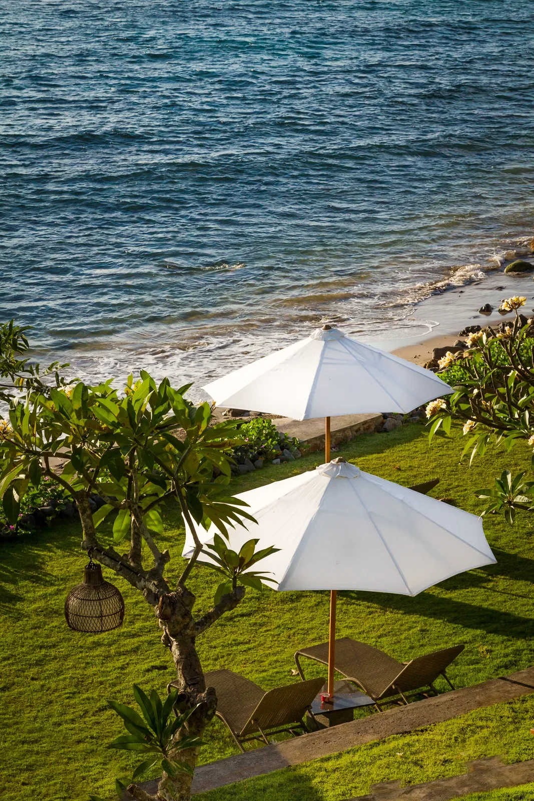 High-angle view looking down at crisp white patio umbrellas and woven sun loungers on a manicured green lawn right above the ocean shore.