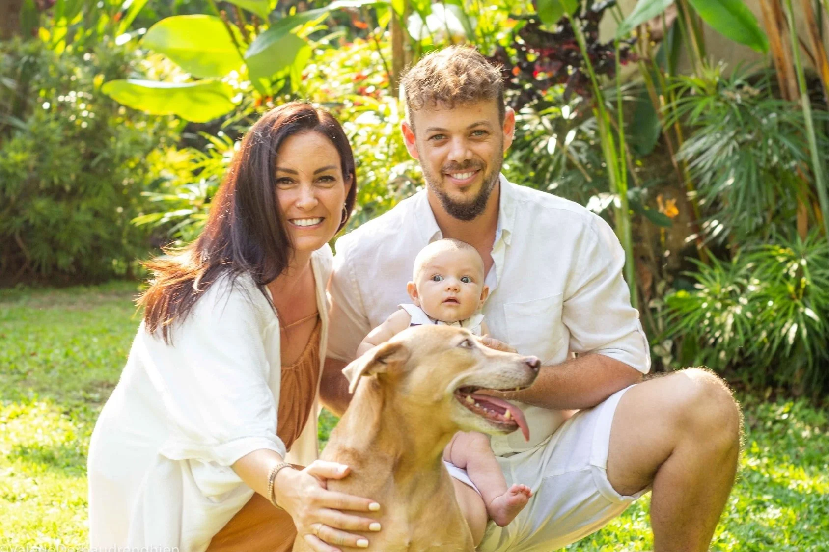Smiling parents with their baby and dog in a sunny garden, a relaxed outdoor family photoshoot