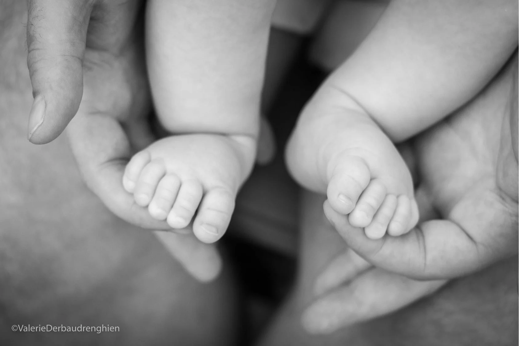 Tiny baby feet cradled in a parent’s hands, black and white family detail photography